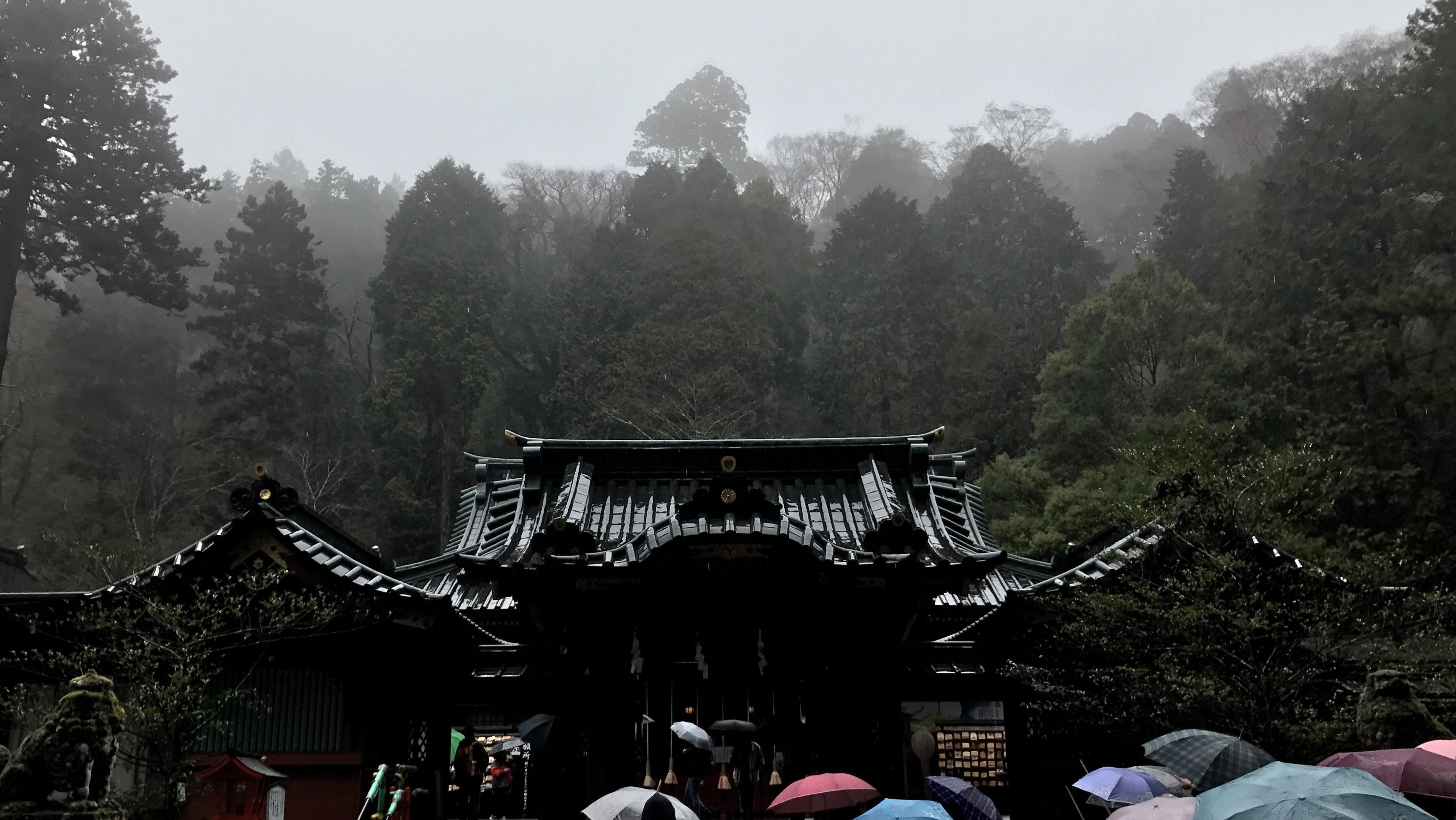 Japanese Warrior In Rain
 Wallpapers