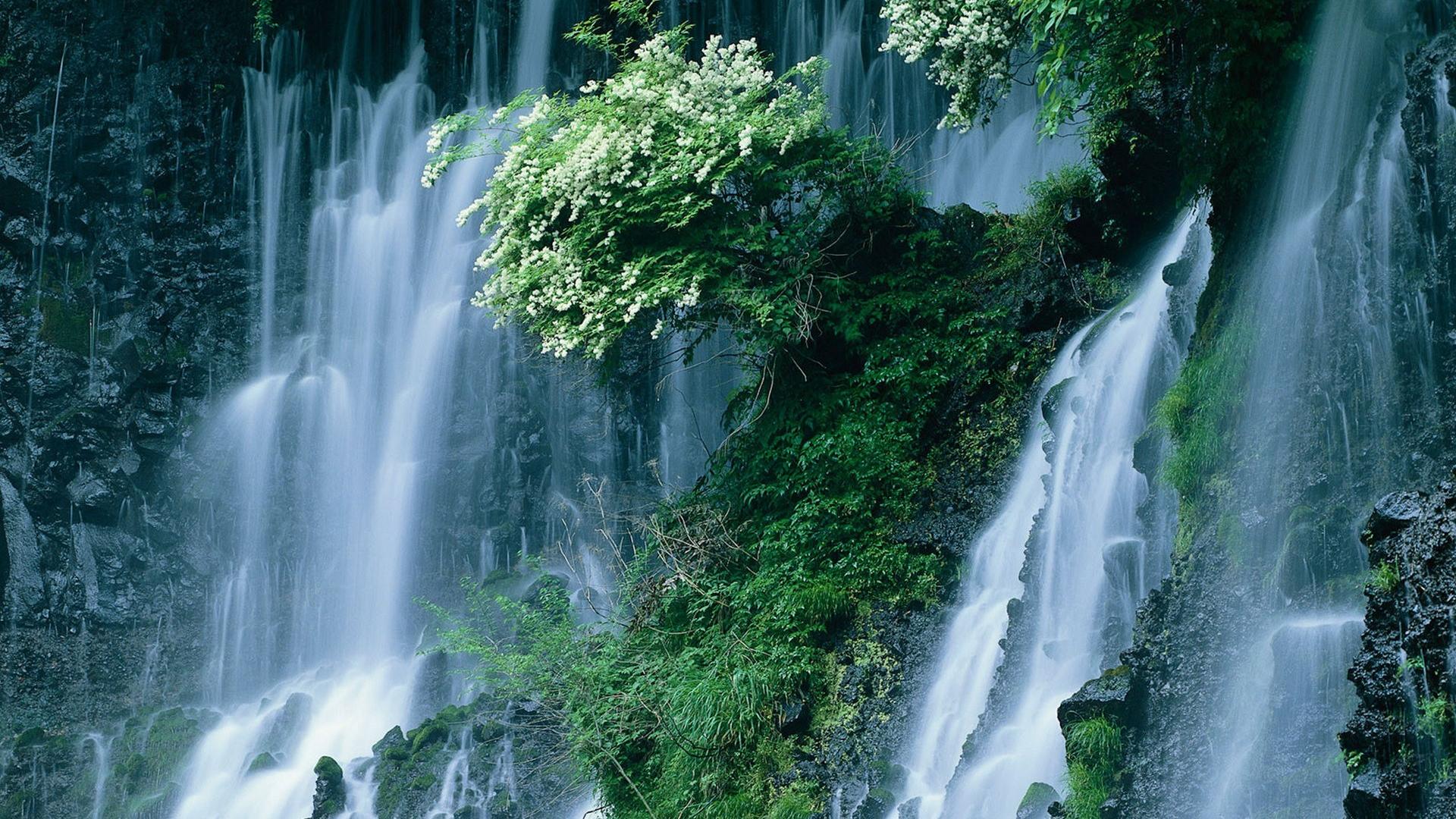 Japanese Waterfall Wallpapers