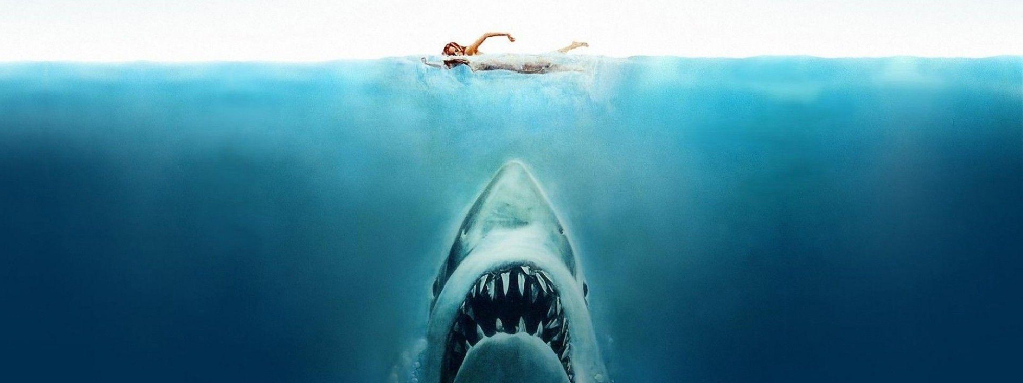 Jaws Wallpapers