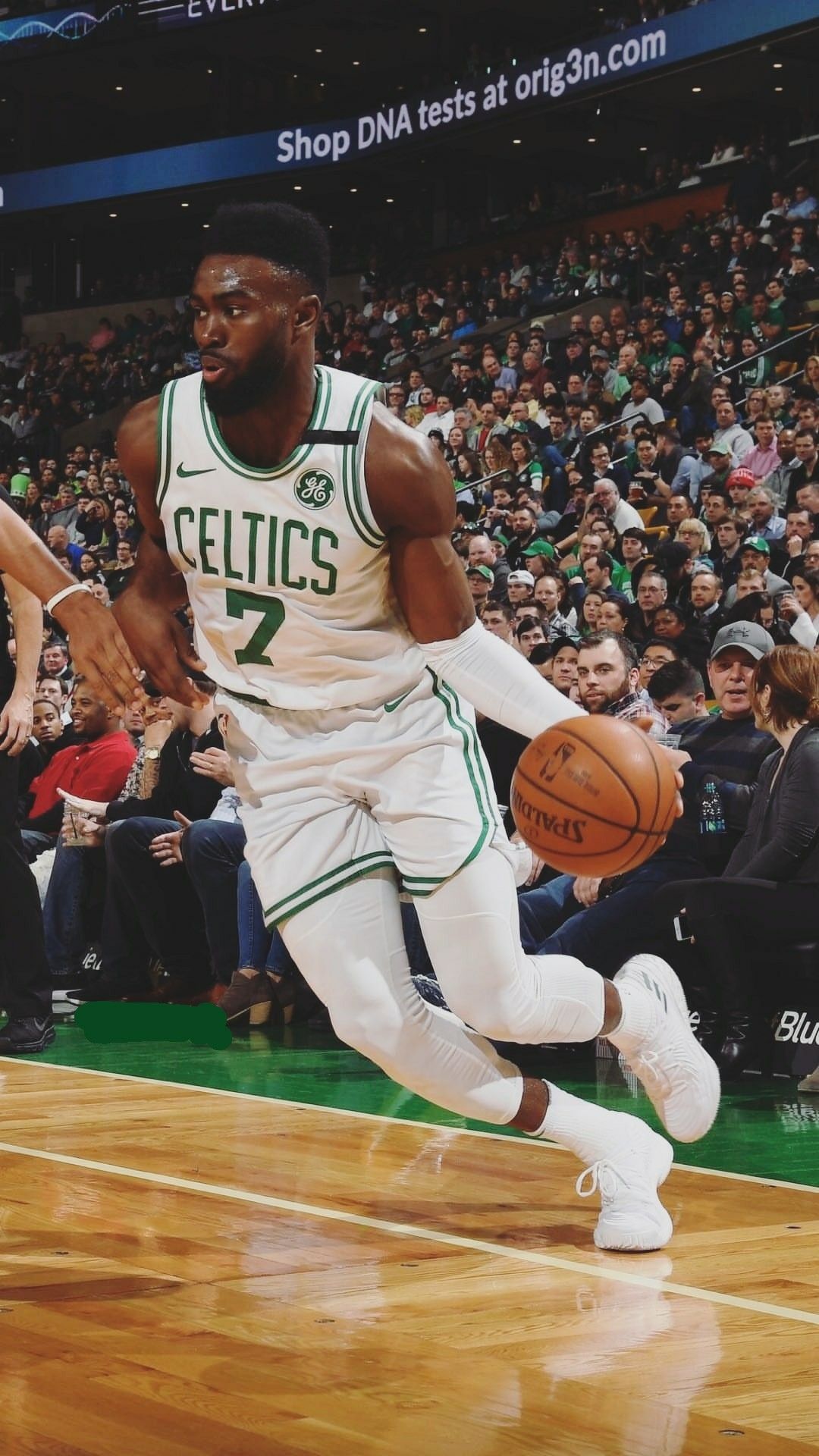 Jaylen Brown Wallpapers