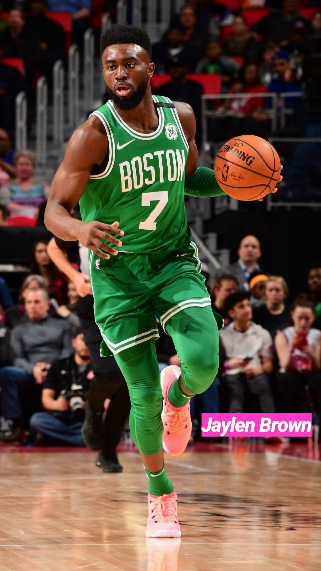 Jaylen Brown Wallpapers