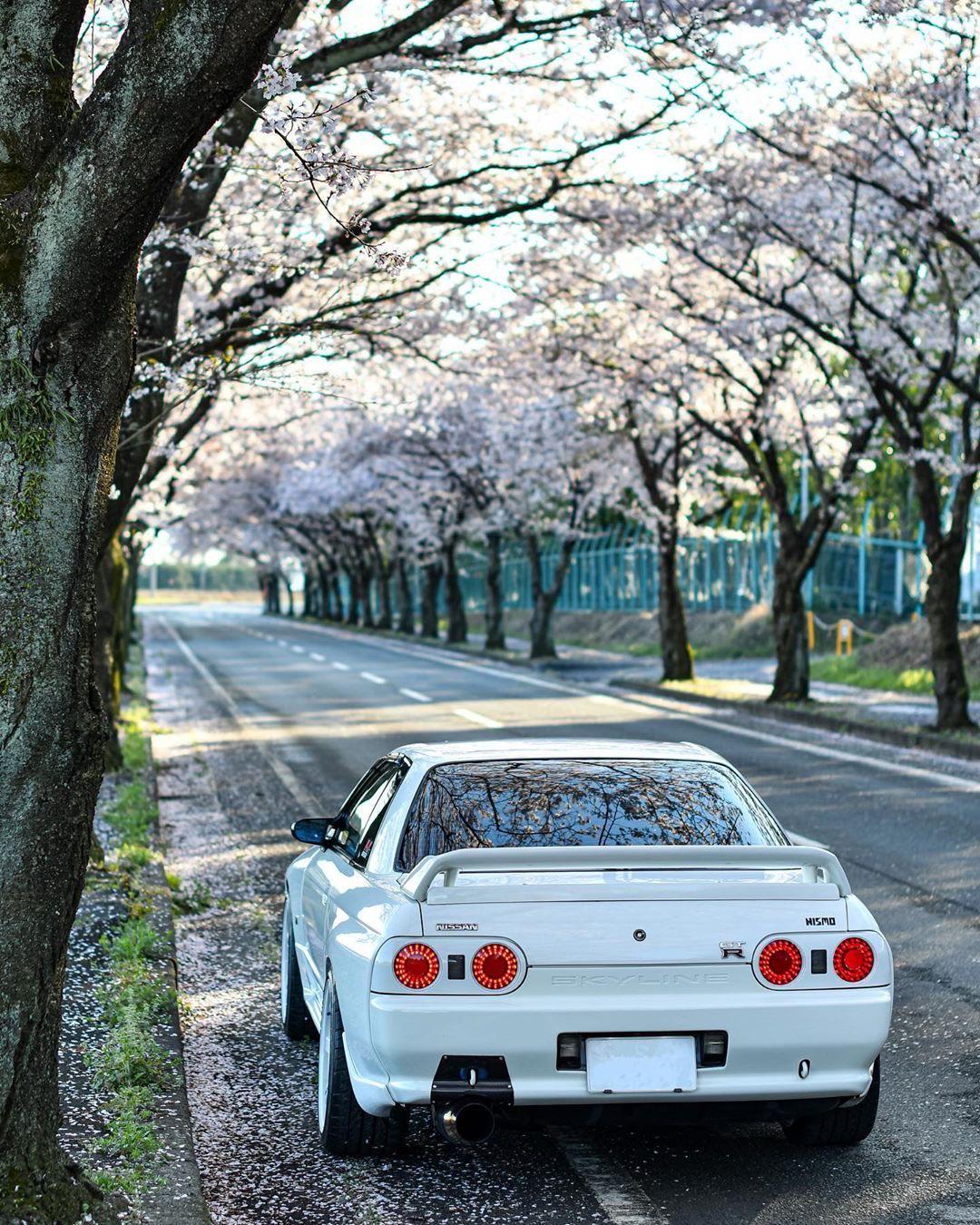 Jdm Cherry Blossom Wallpapers