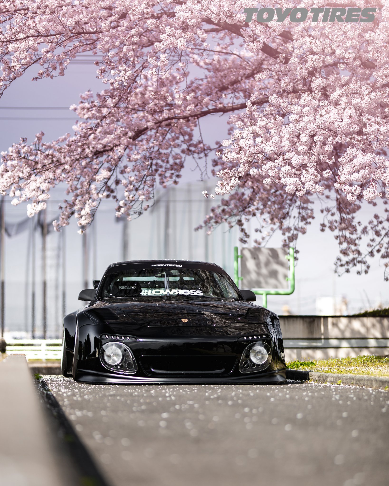 Jdm Cherry Blossom Wallpapers