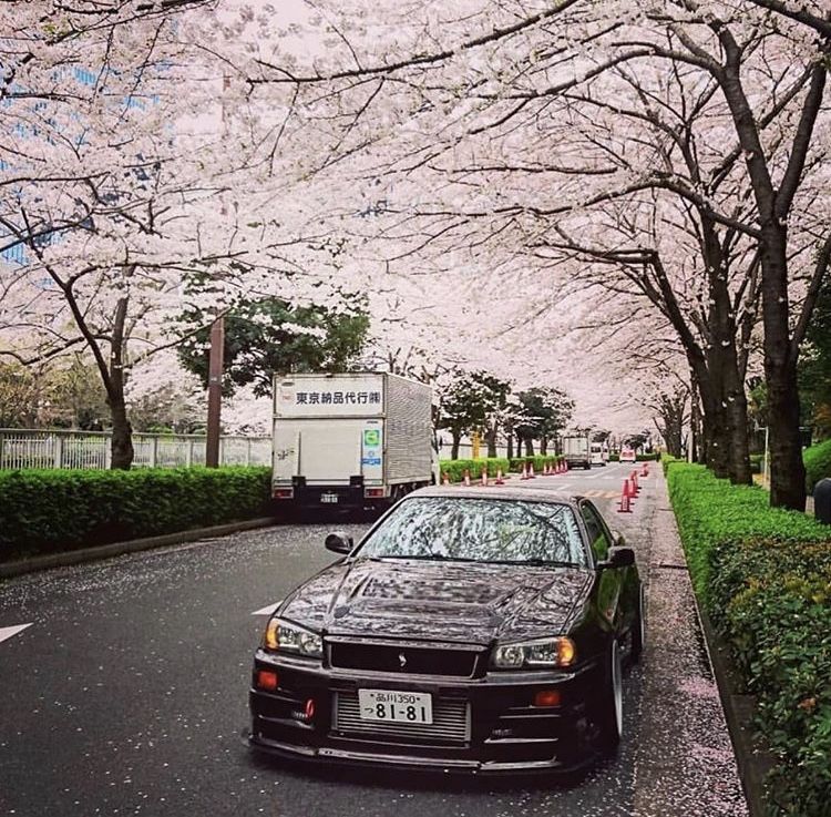 Jdm Cherry Blossom Wallpapers