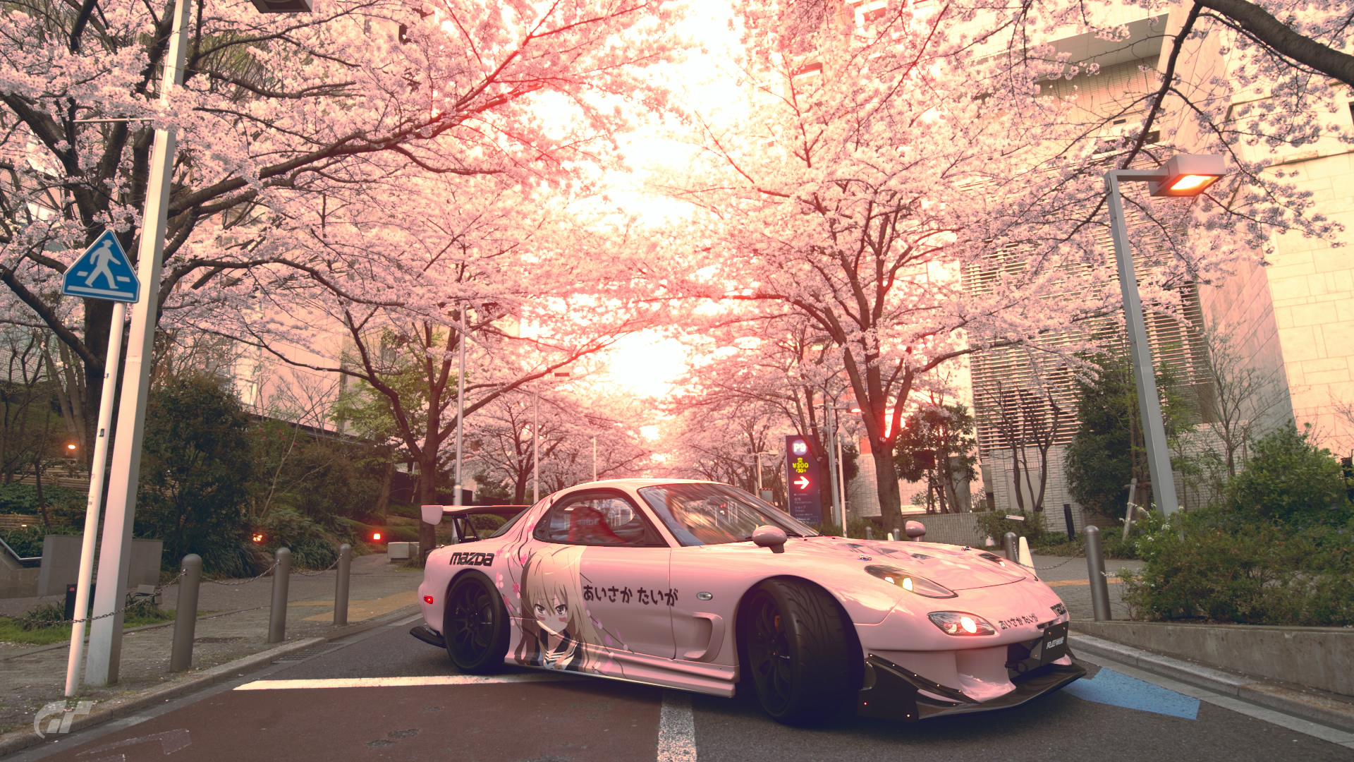 Jdm Cherry Blossom Wallpapers