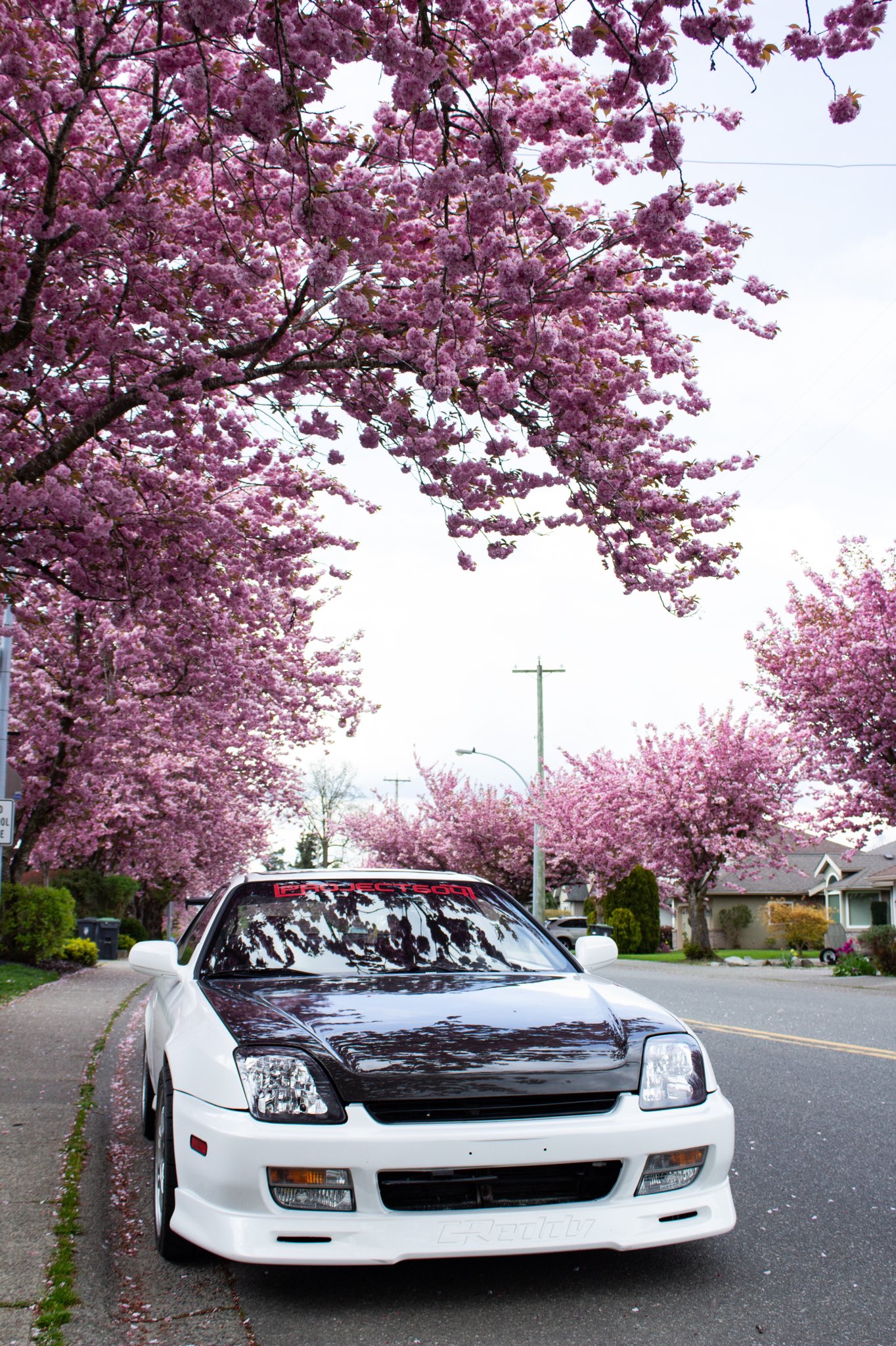 Jdm Cherry Blossom Wallpapers