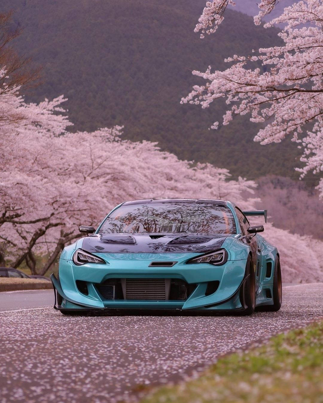 Jdm Cherry Blossom Wallpapers