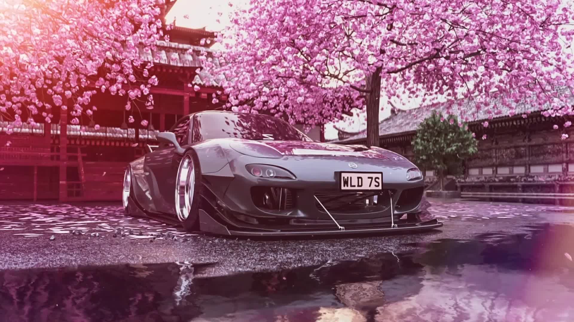 Jdm Cherry Blossom Wallpapers