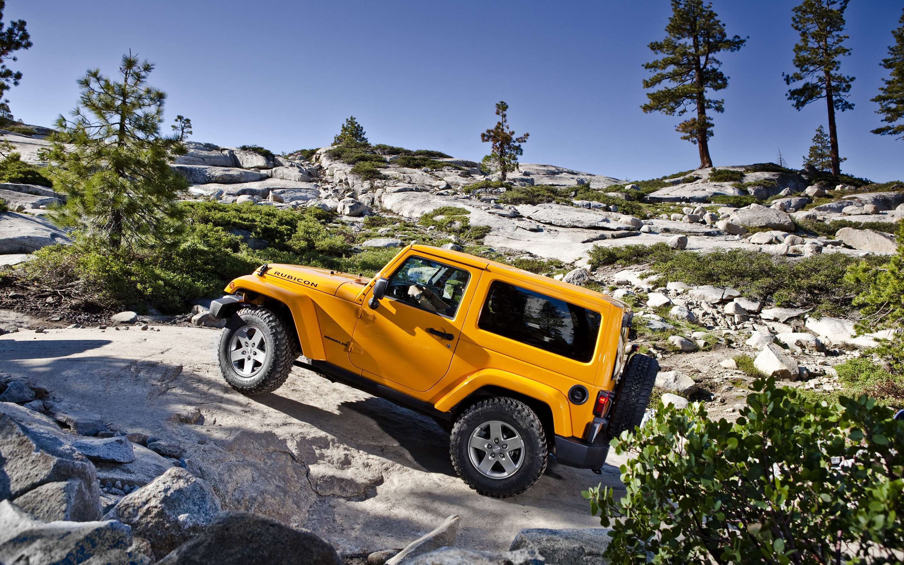 Jeep Lower Forty Wallpapers