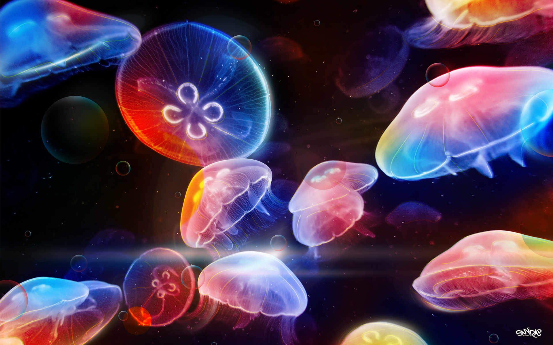 Jellyfish Backgrounds