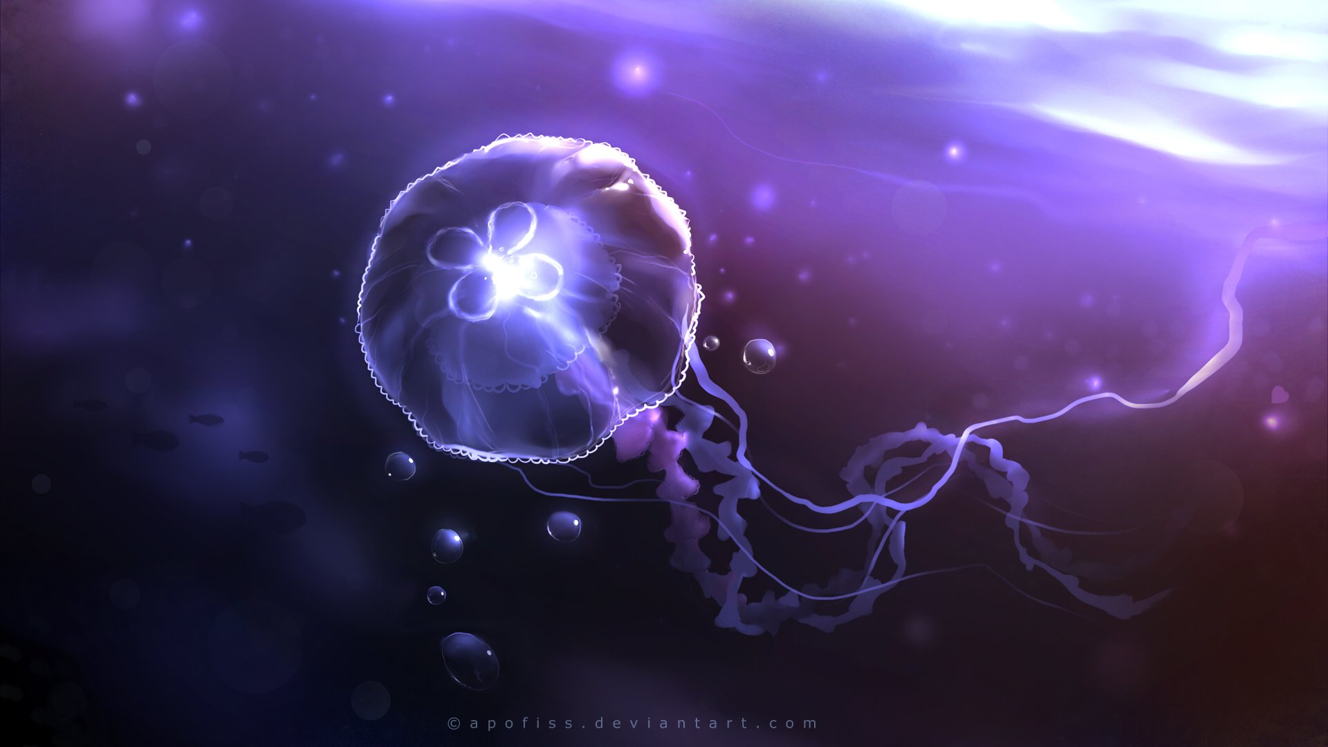 Jellyfish Backgrounds