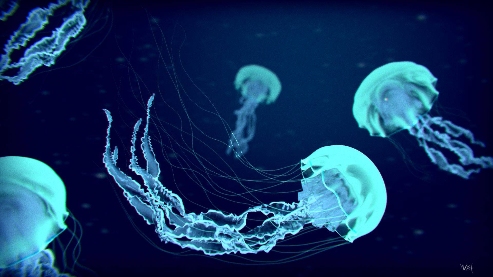 Jellyfish Backgrounds