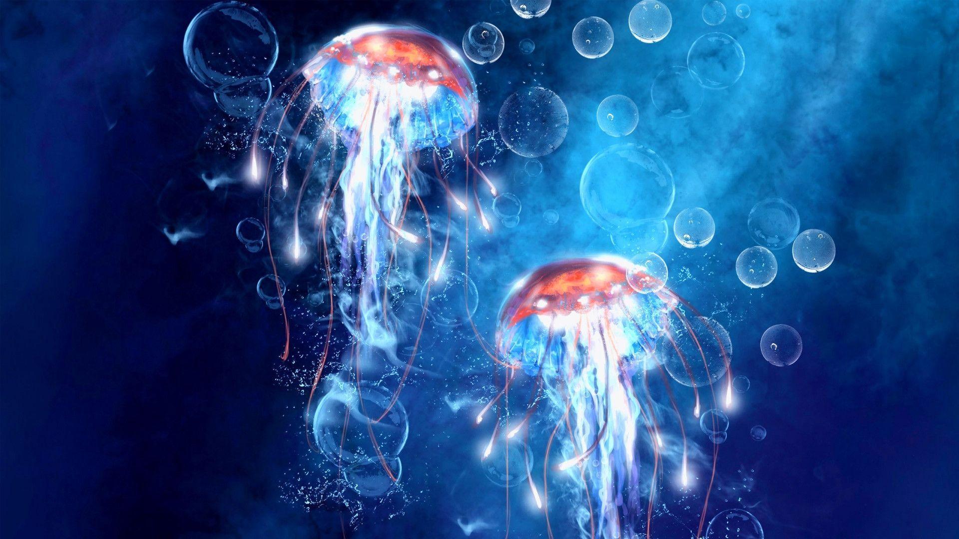 Jellyfish Backgrounds