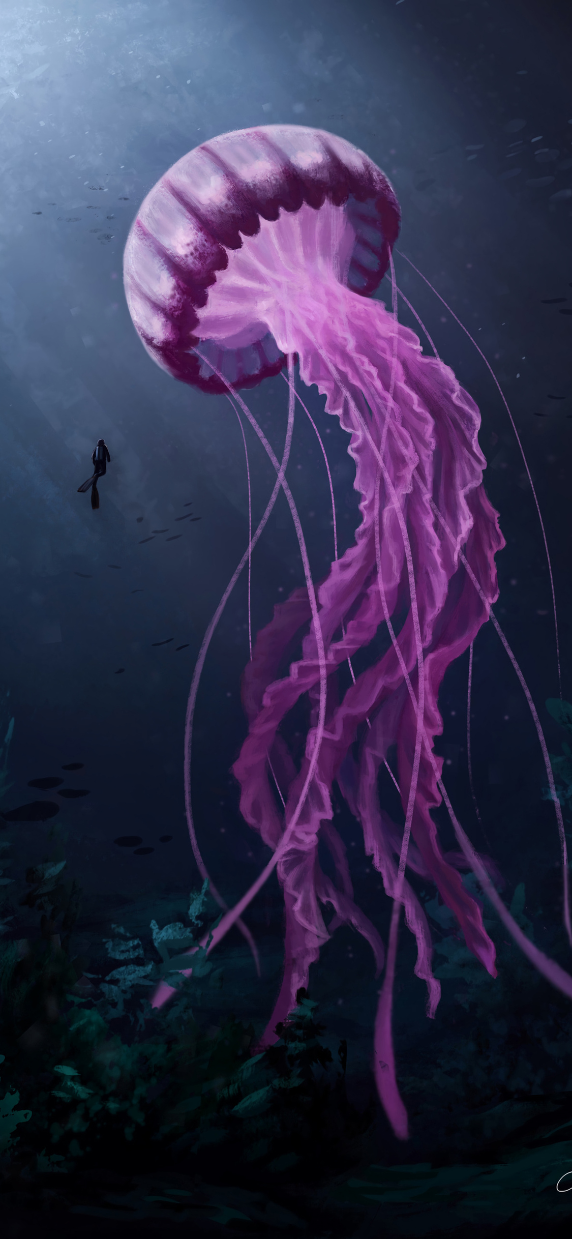 Jellyfish Backgrounds