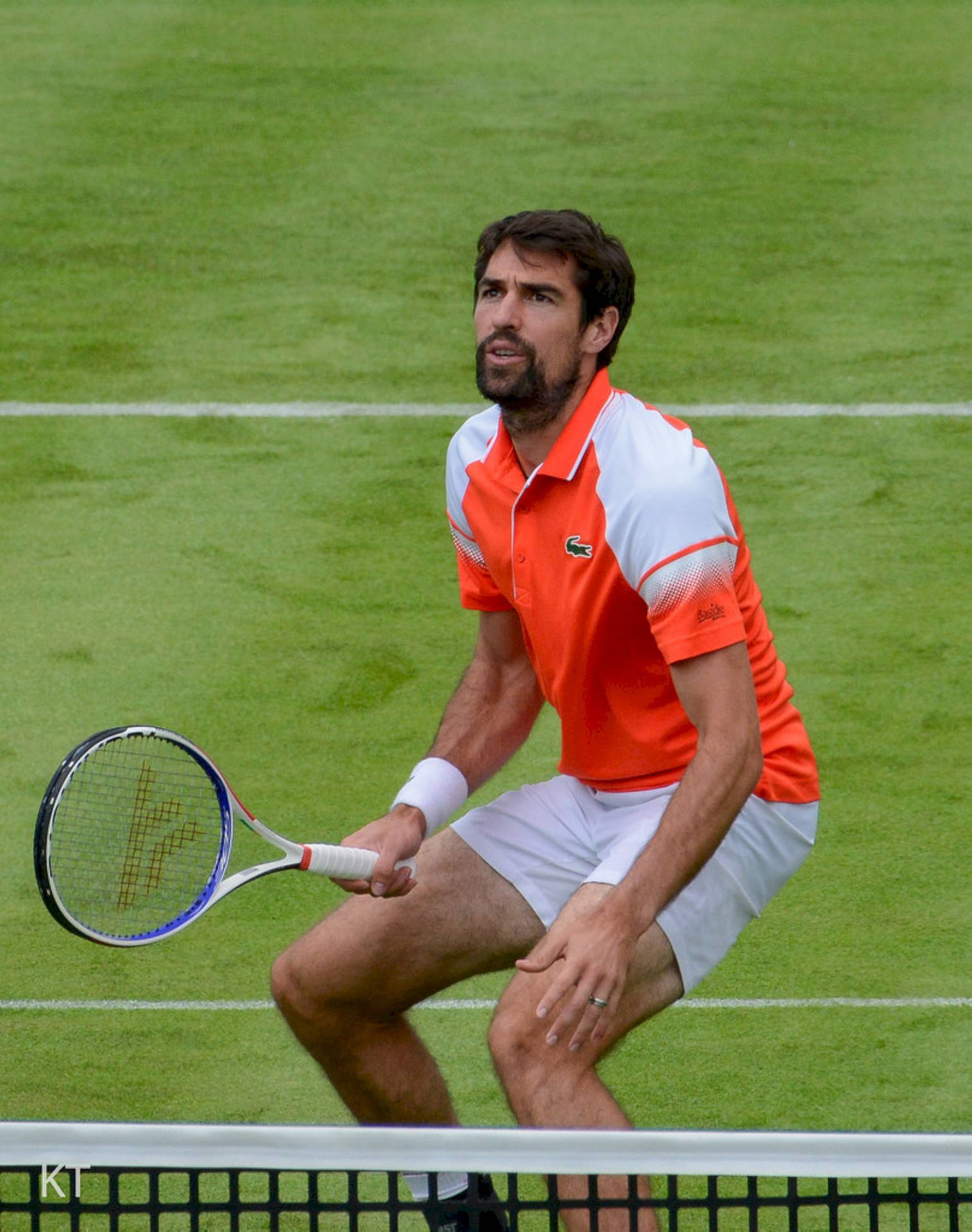 Jeremy Chardy Wallpapers