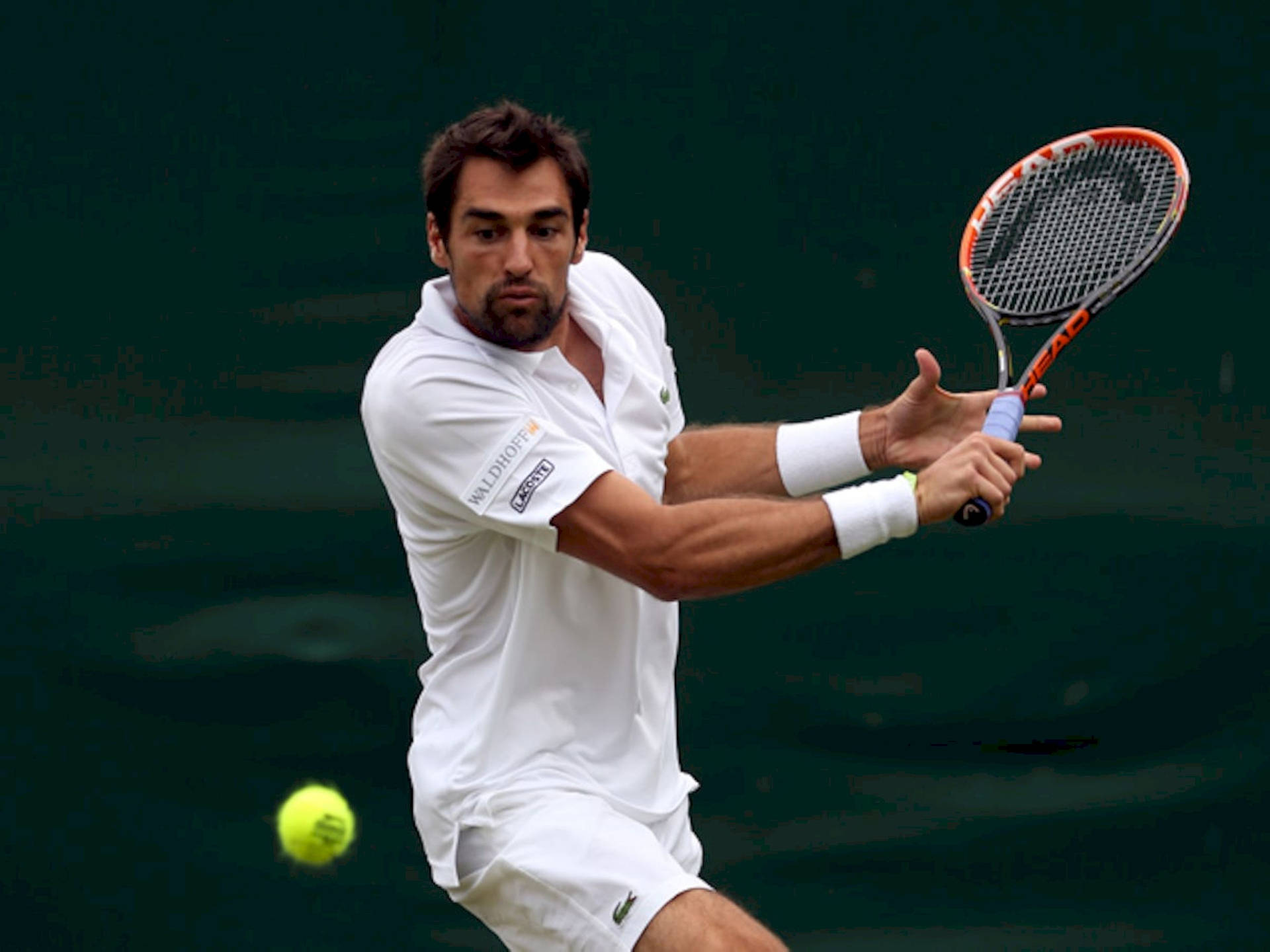 Jeremy Chardy Wallpapers