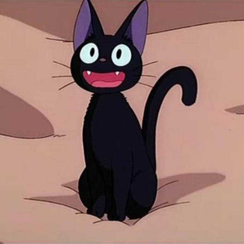 Jiji Cat Wallpapers