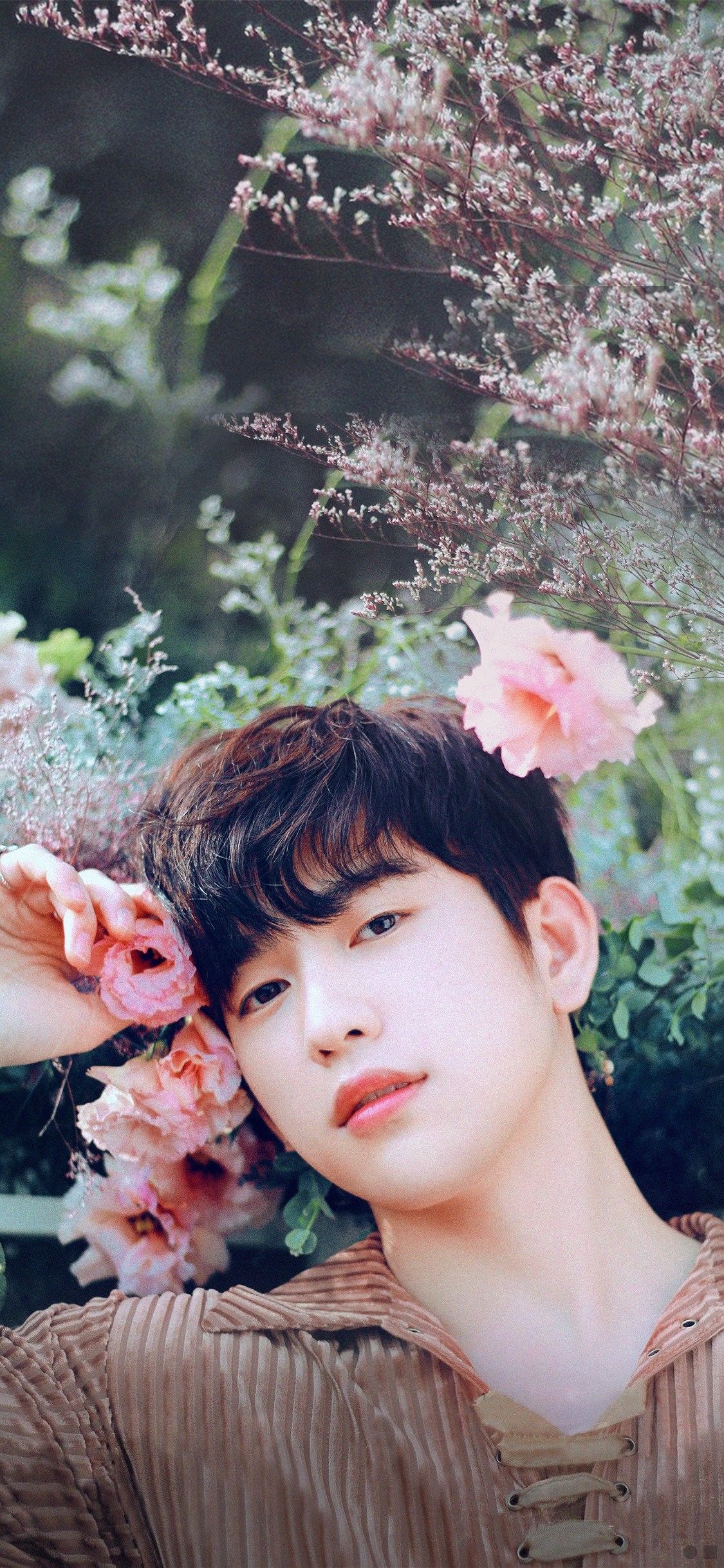 Jinyoung Wallpapers