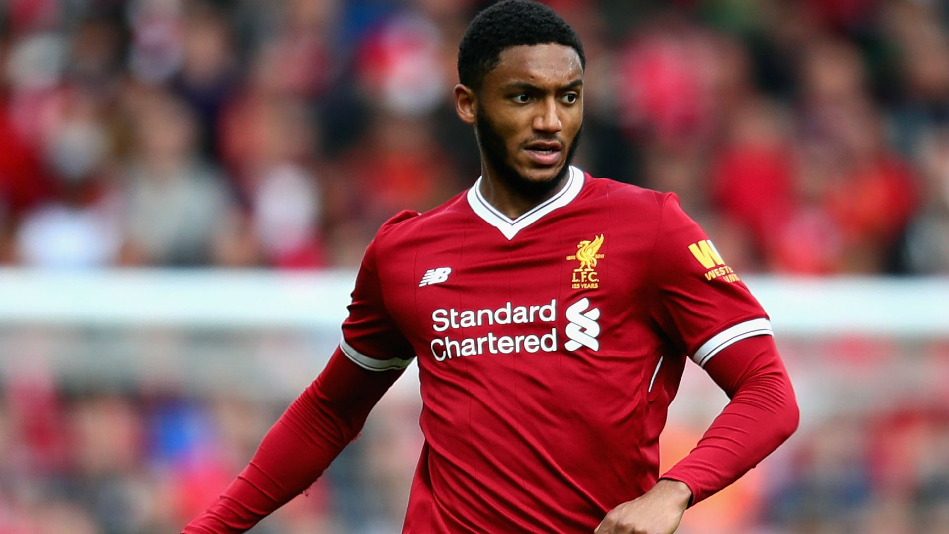 Joe Gomez Wallpapers