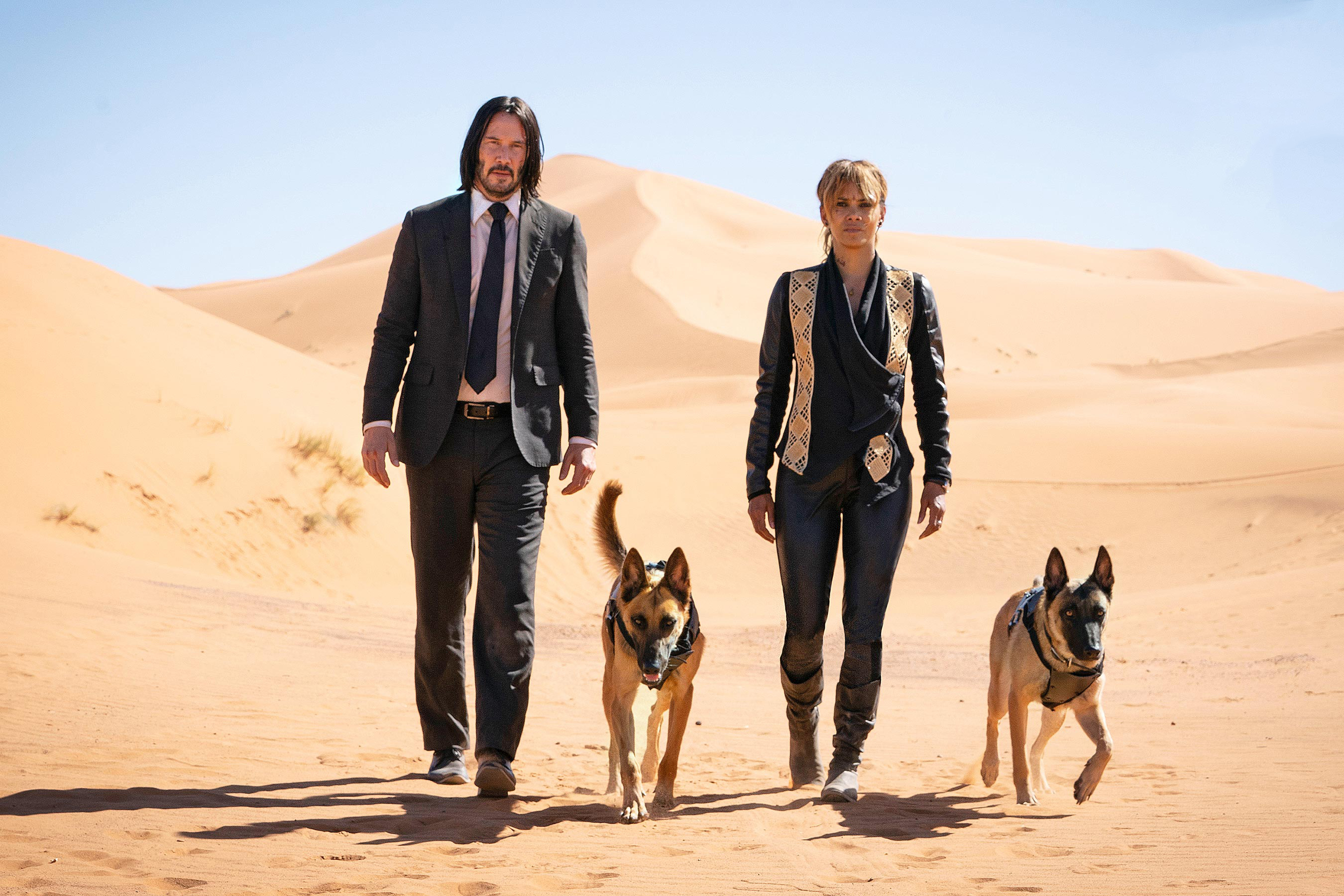 John Wick 2019 Movie Wallpapers