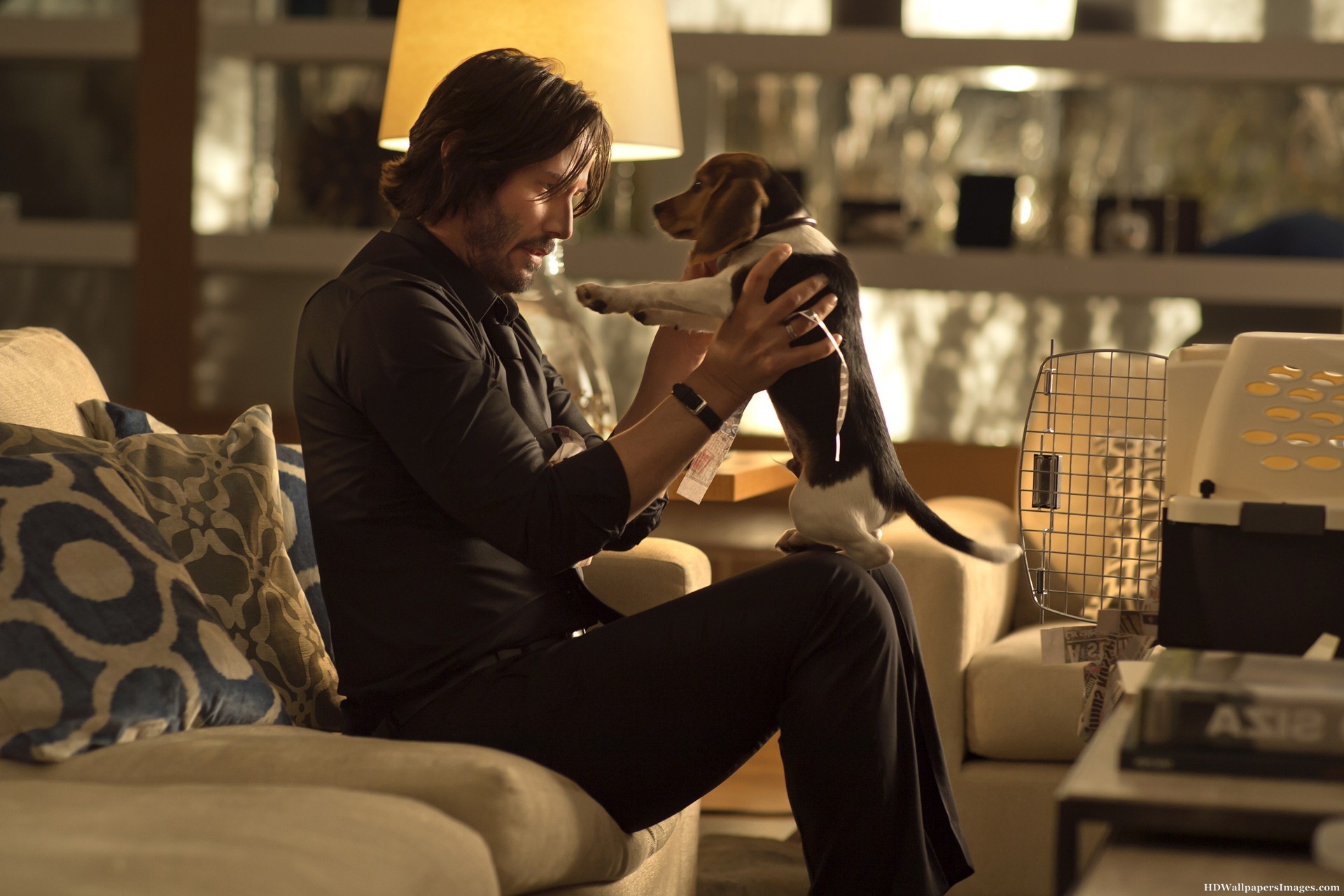 John Wick As Keanu Reeves And Dog Wallpapers