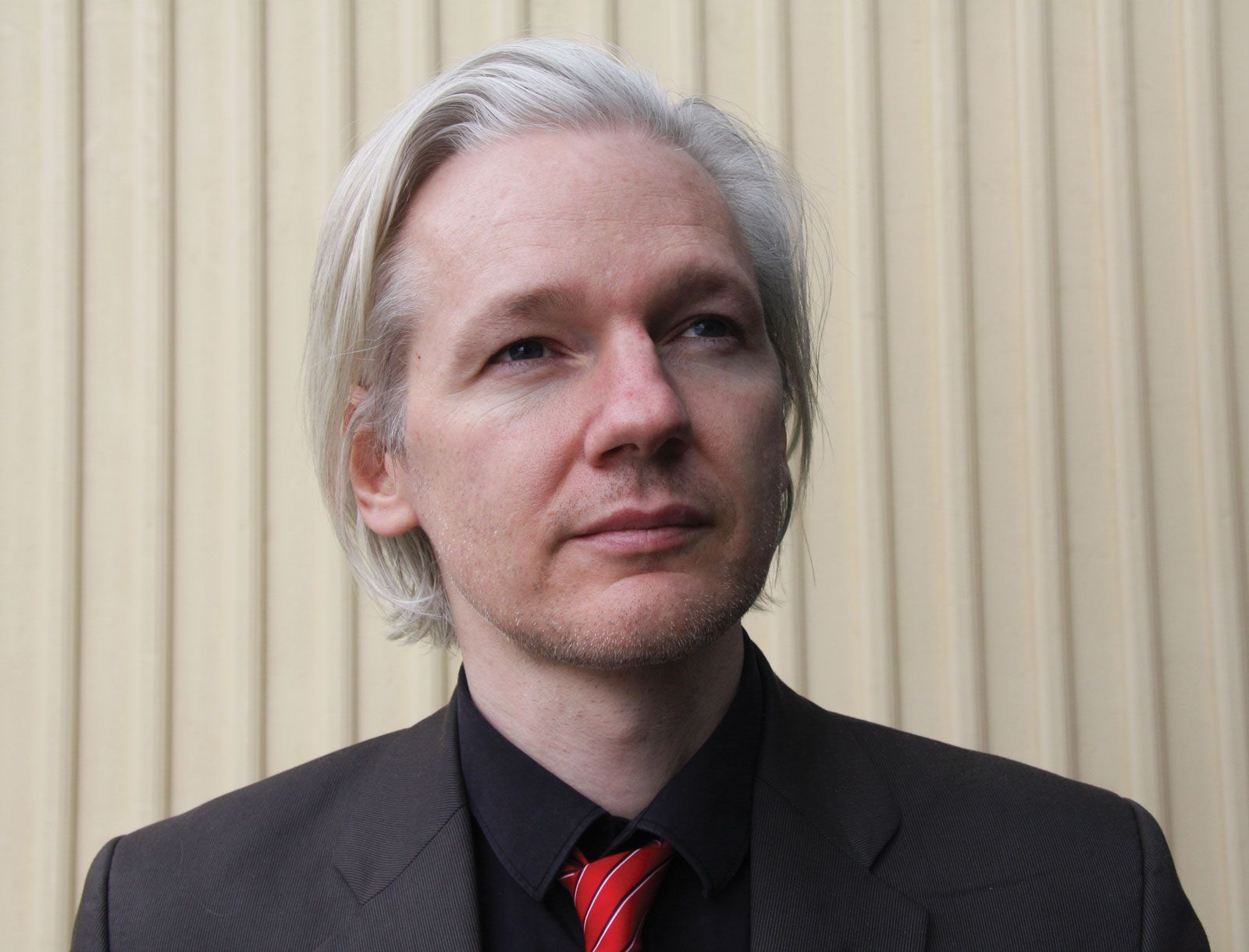 Jolia Assange Wallpapers