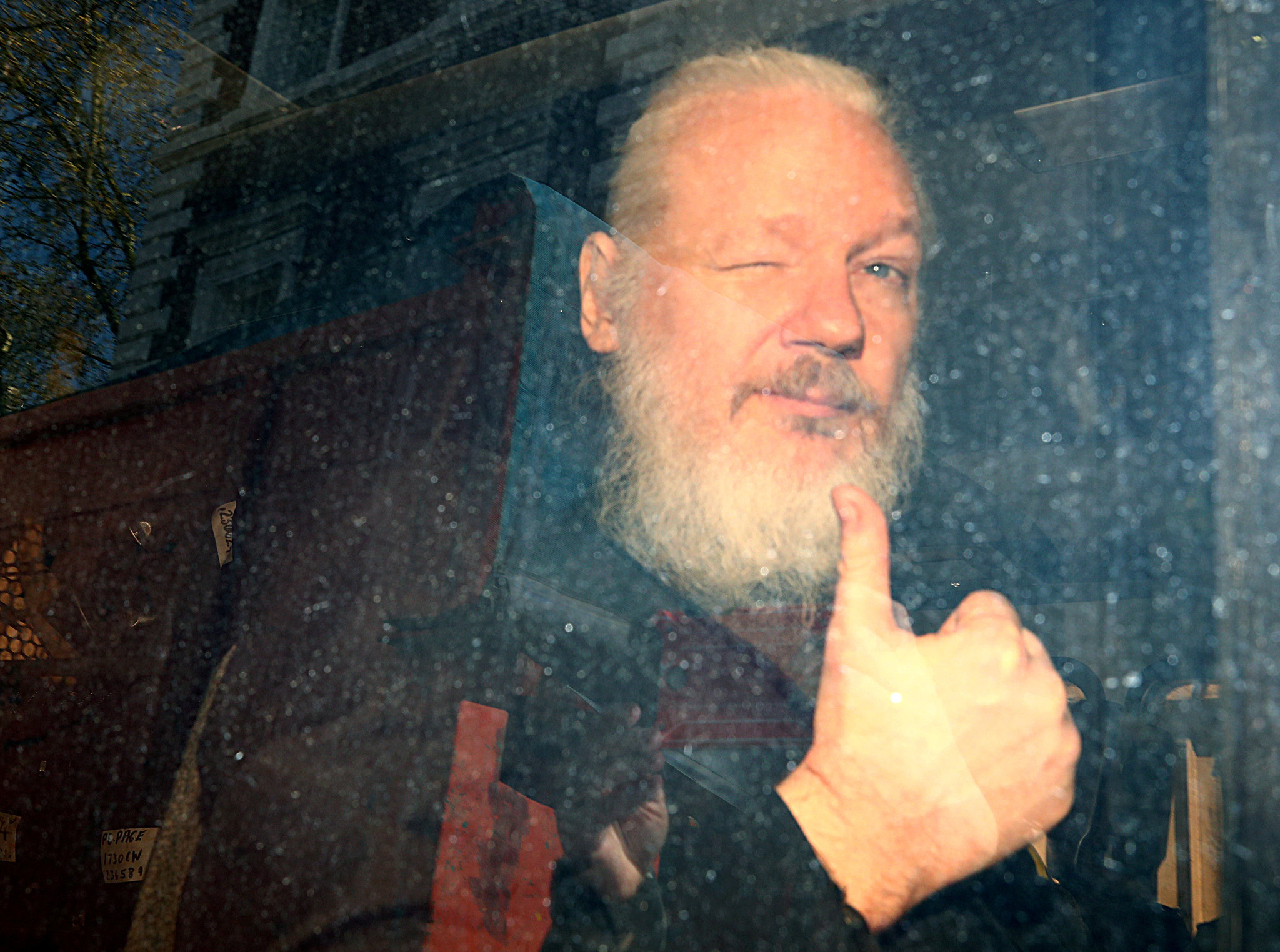 Jolia Assange Wallpapers