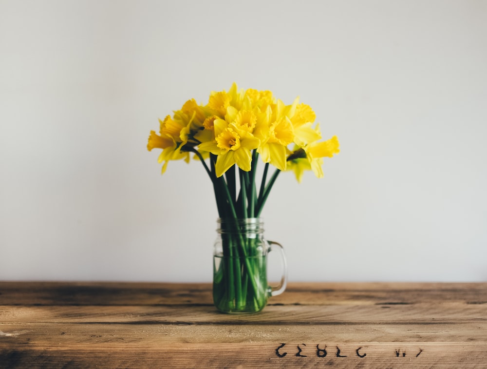 Jonquil Wallpapers