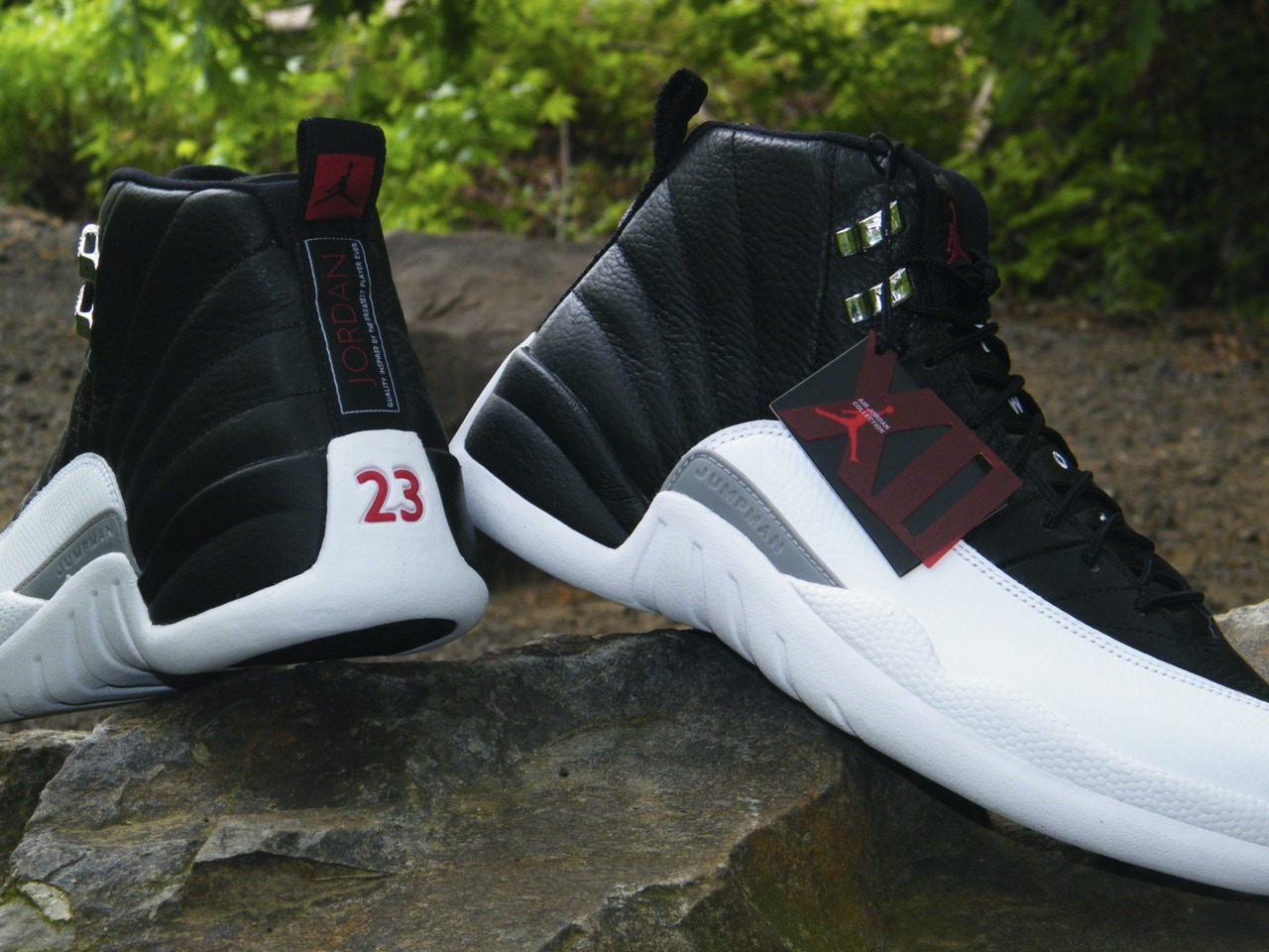 Jordan 12 Wallpapers