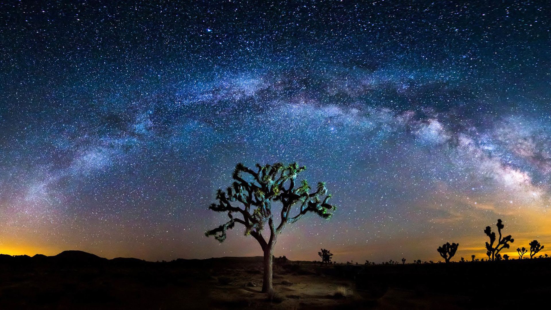 Joshua Tree National Park Evening Wallpapers