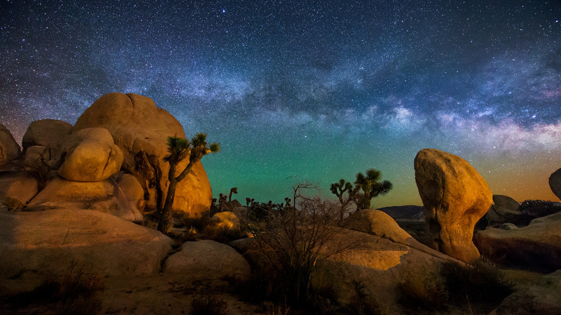 Joshua Tree National Park Evening Wallpapers