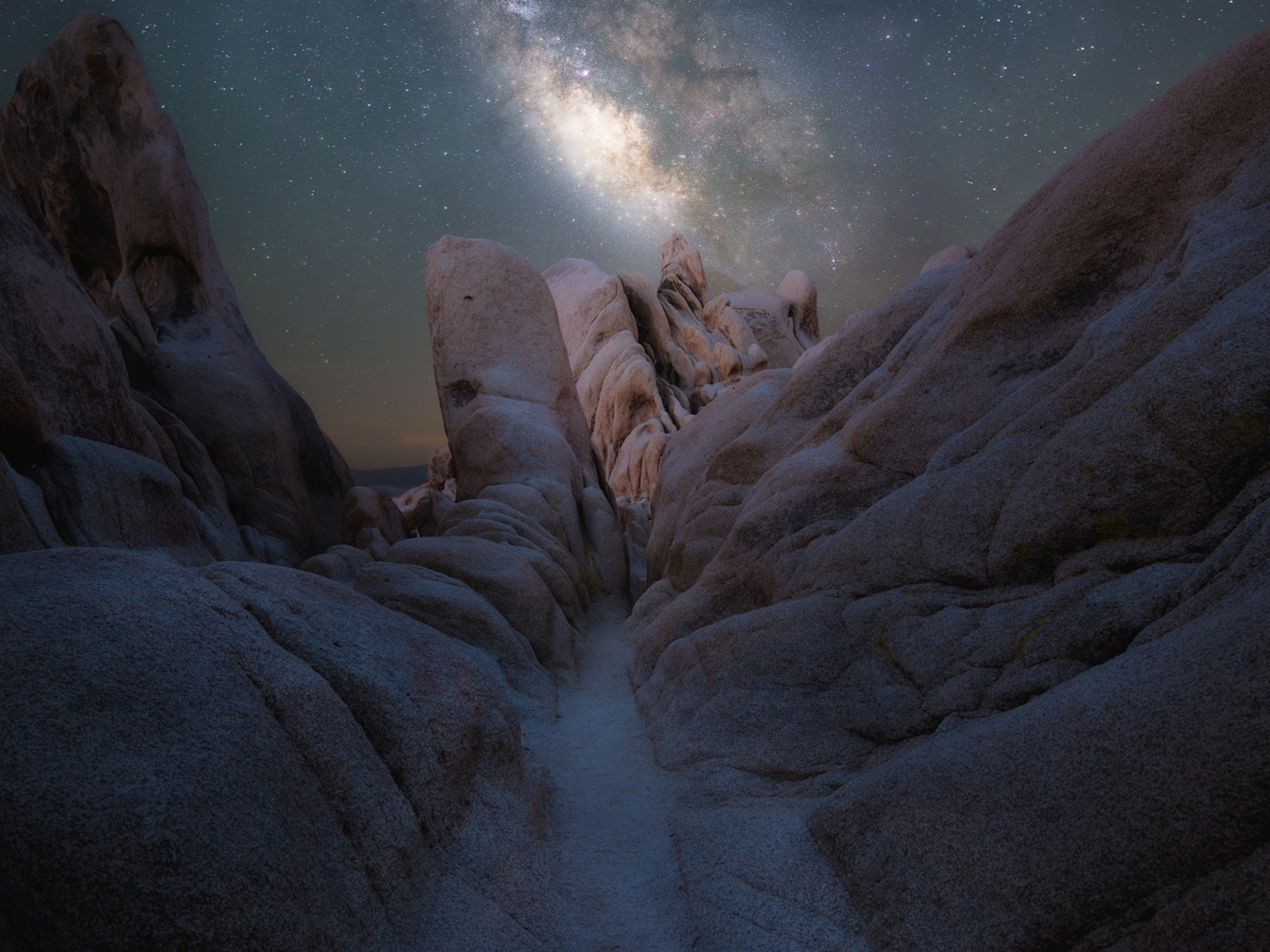 Joshua Tree National Park Evening Wallpapers