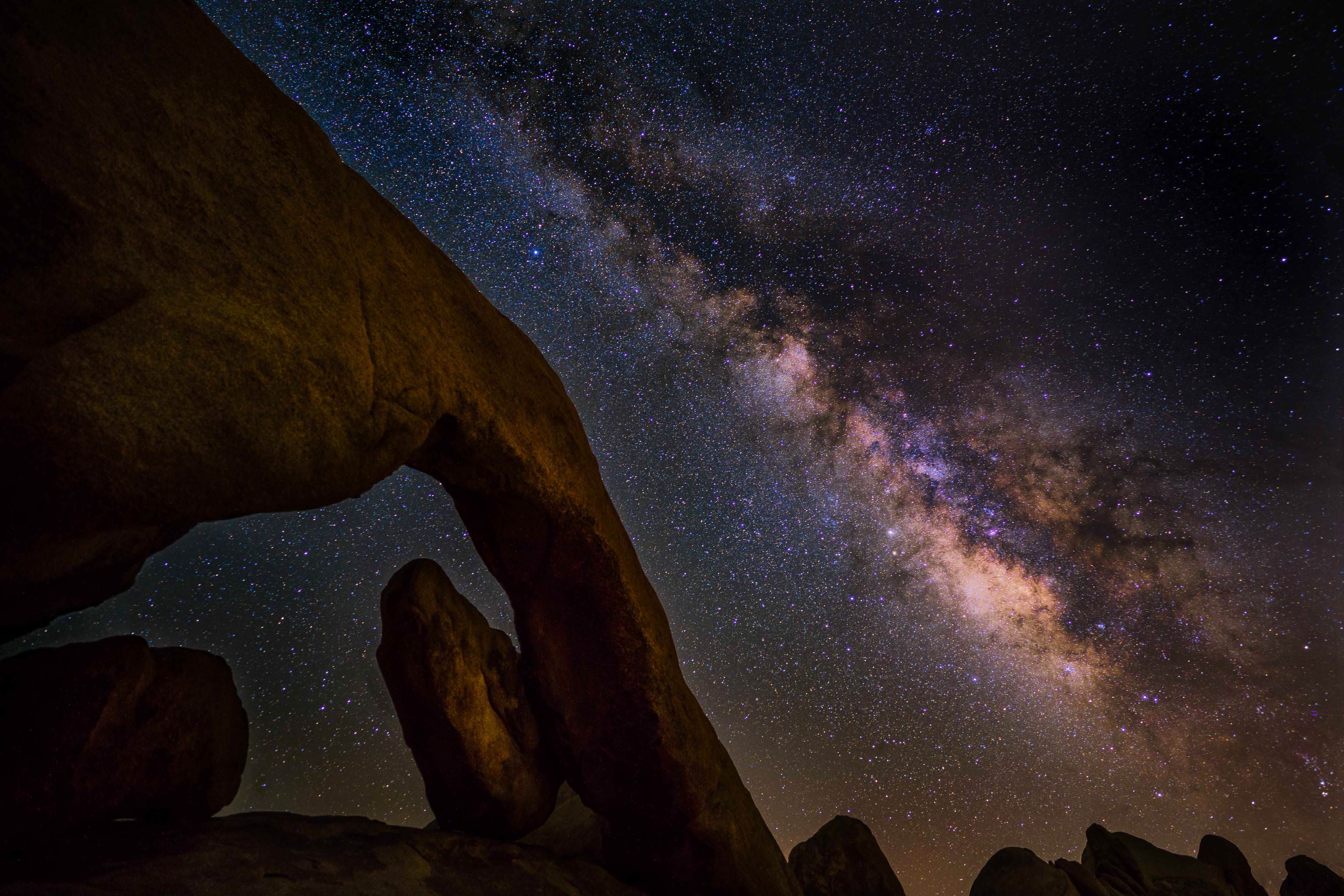 Joshua Tree National Park Evening Wallpapers