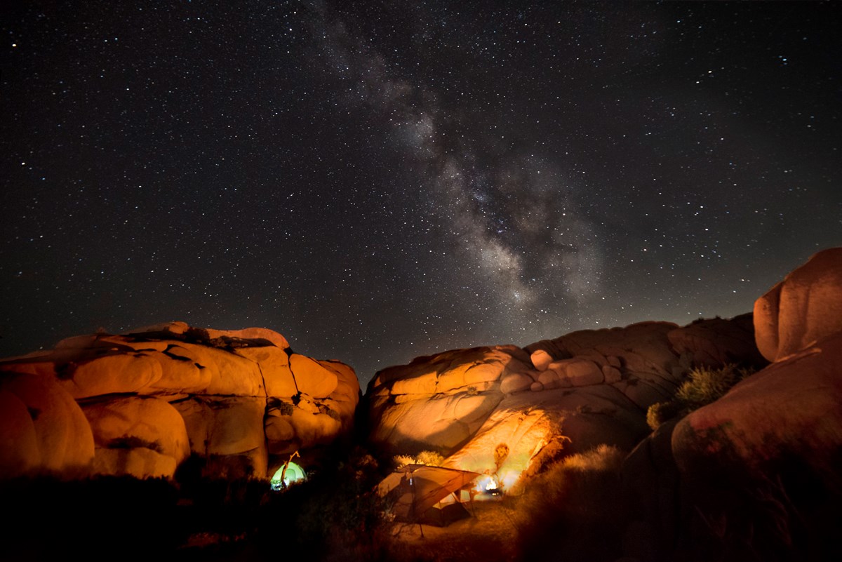 Joshua Tree National Park Evening Wallpapers