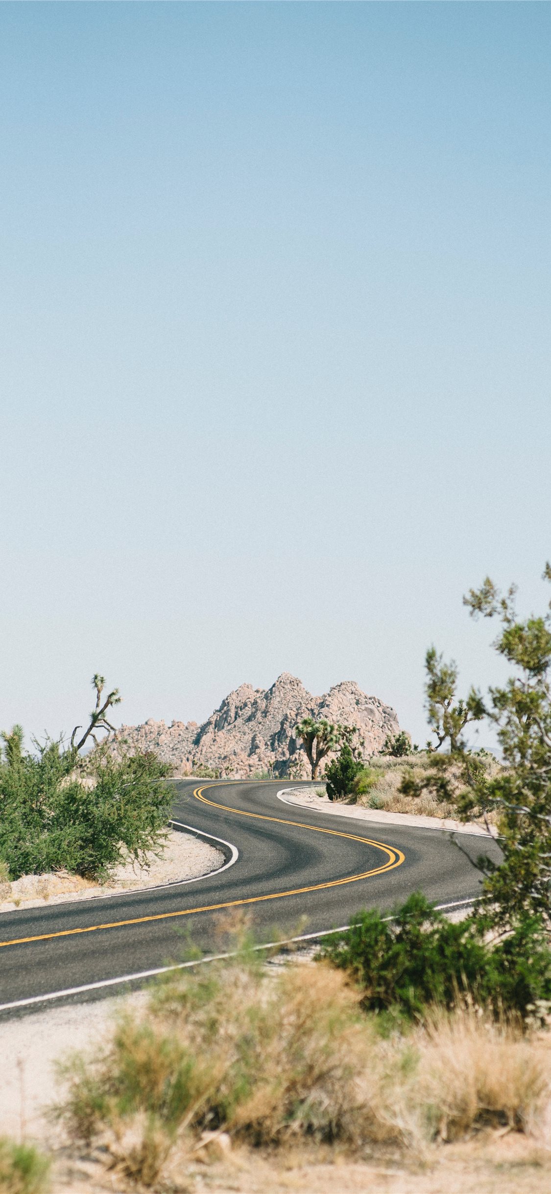 Joshua Tree Wallpapers