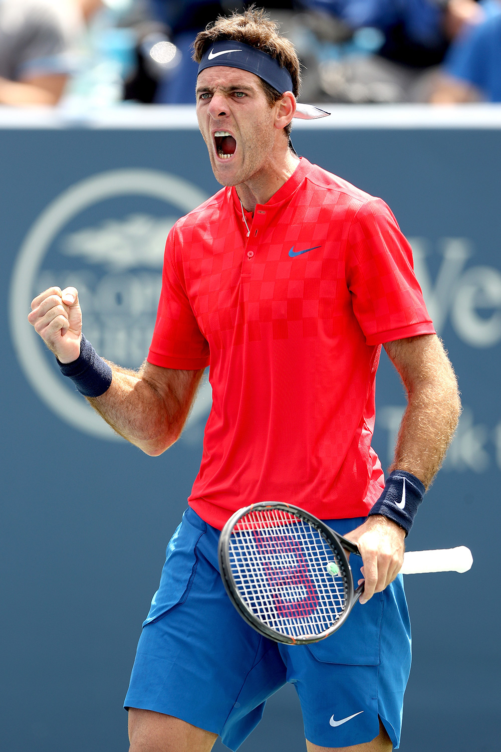 Juan Martin Del Potro Wallpapers