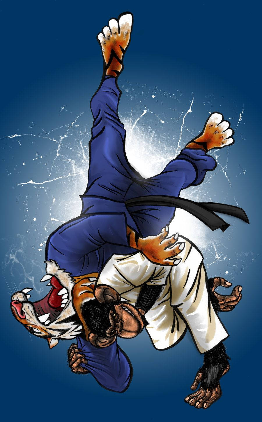 Judo Background