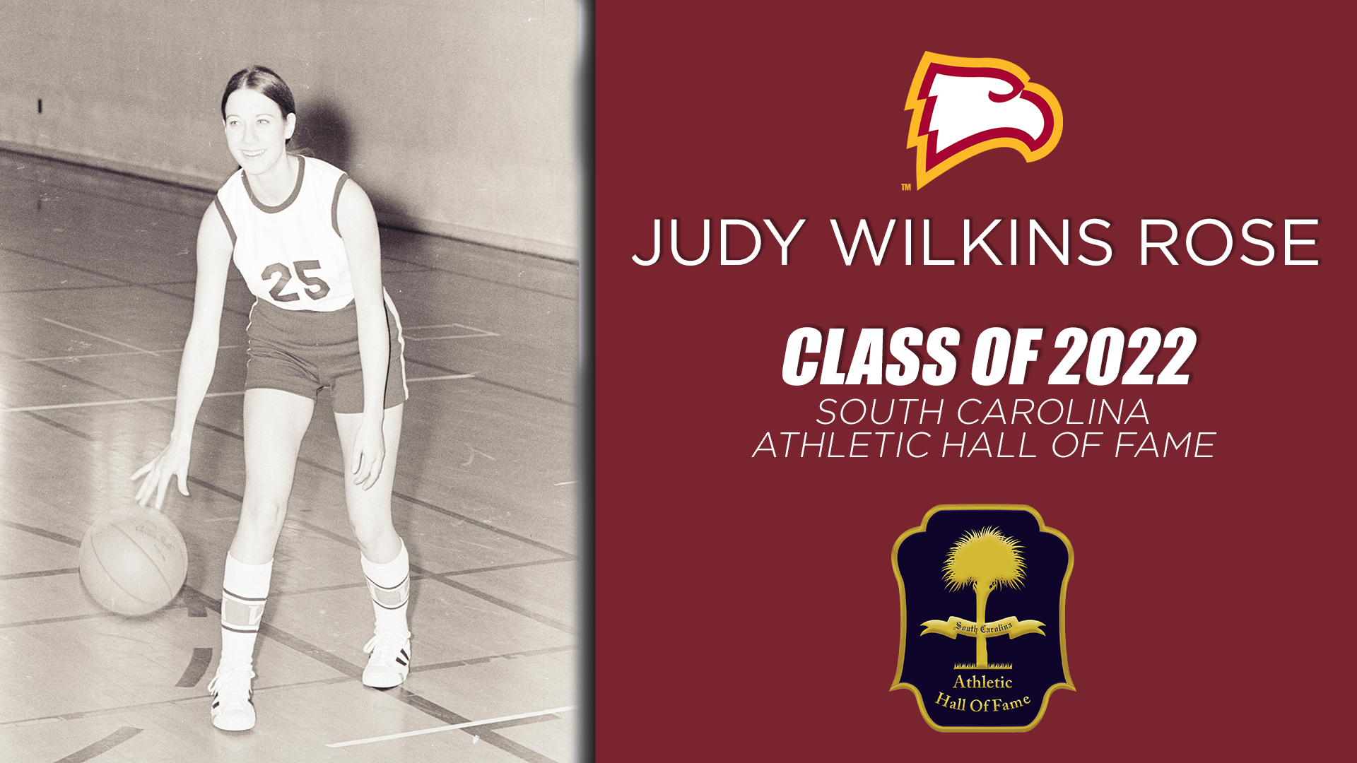 Judy Wilkins Wallpapers