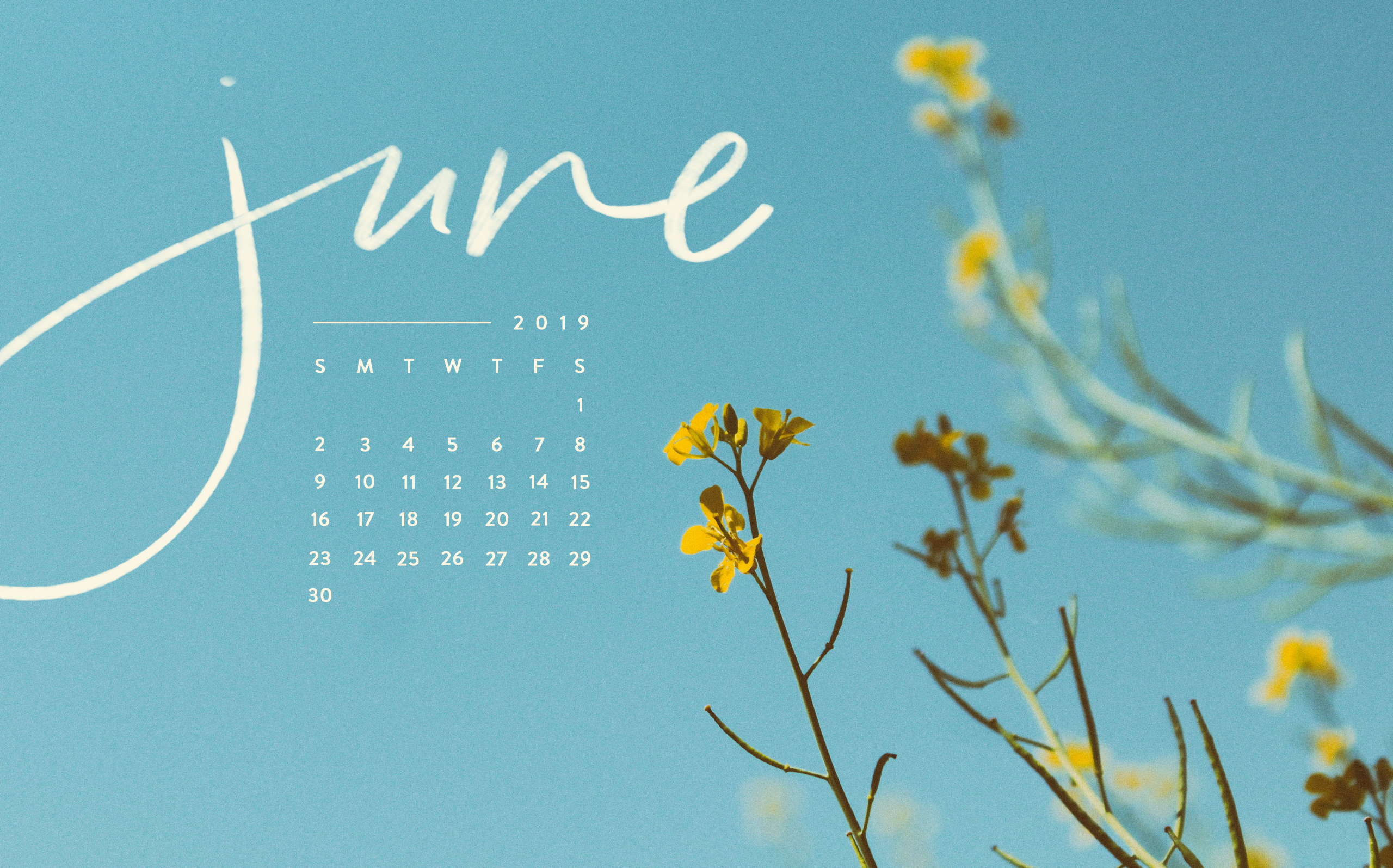 July 2019 Desktop Wallpapers