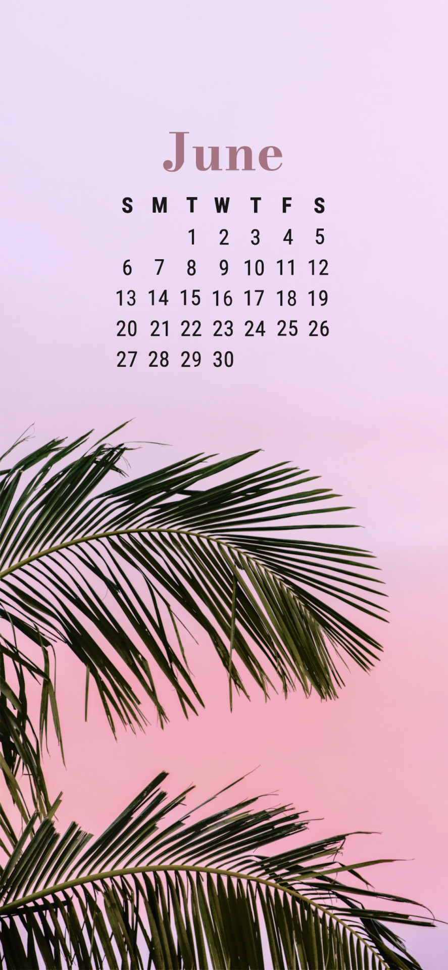 June Aesthetic Wallpapers