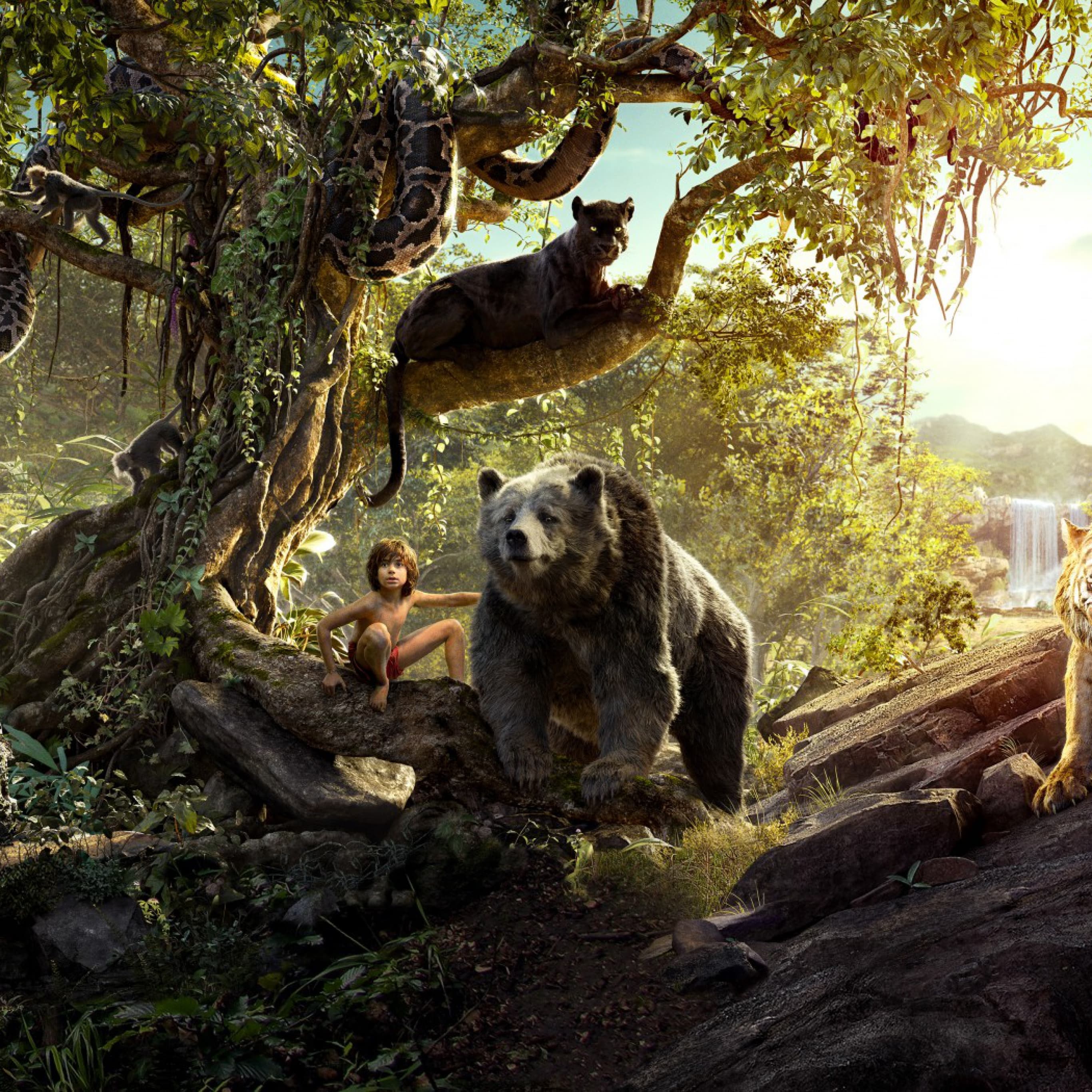 Jungle Book 2016 Wallpapers