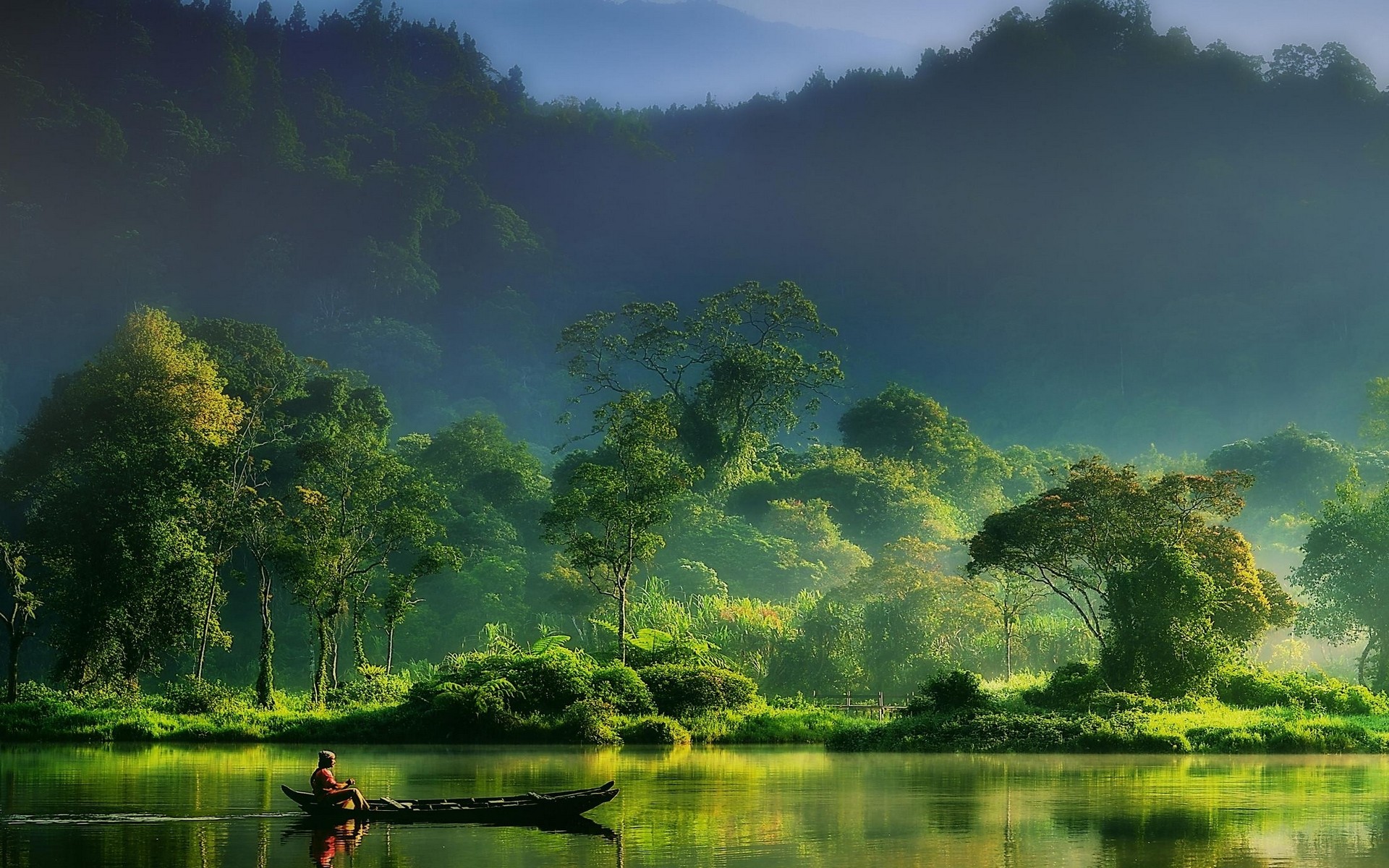 Jungle Deer Boat Forest Landscape Nature Wallpapers