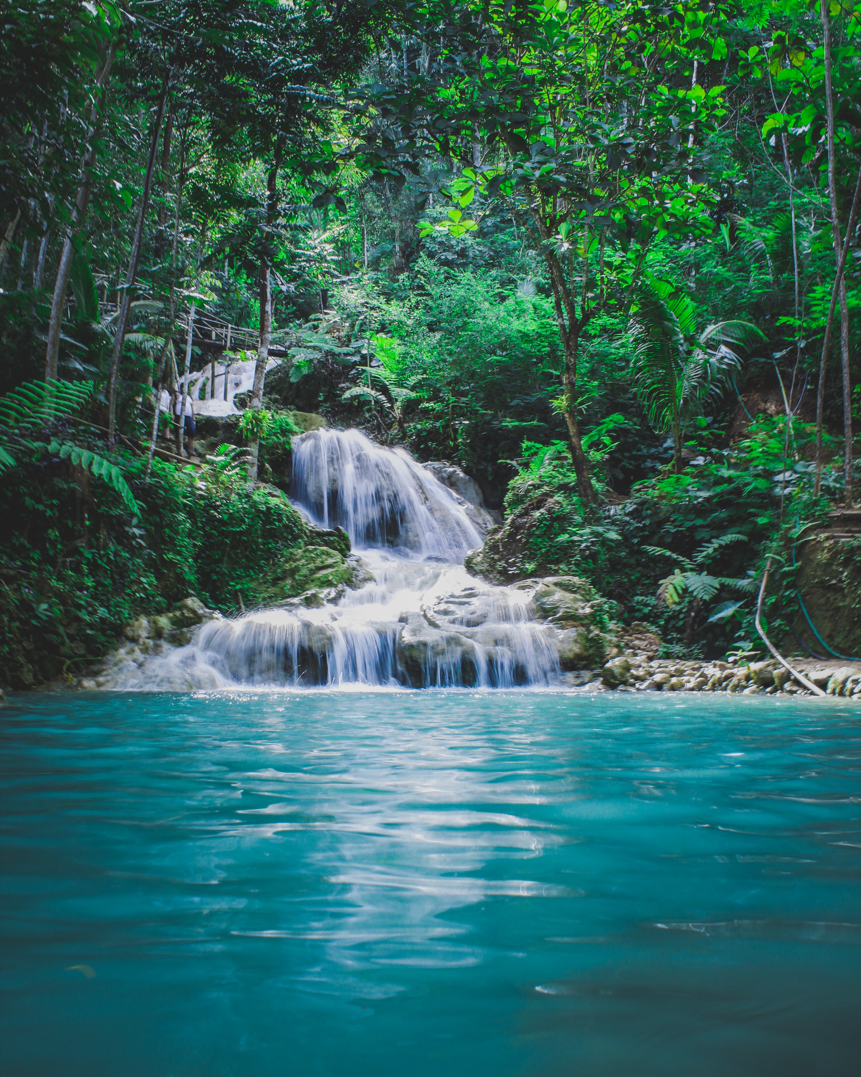 Jungle Landscape Wallpapers