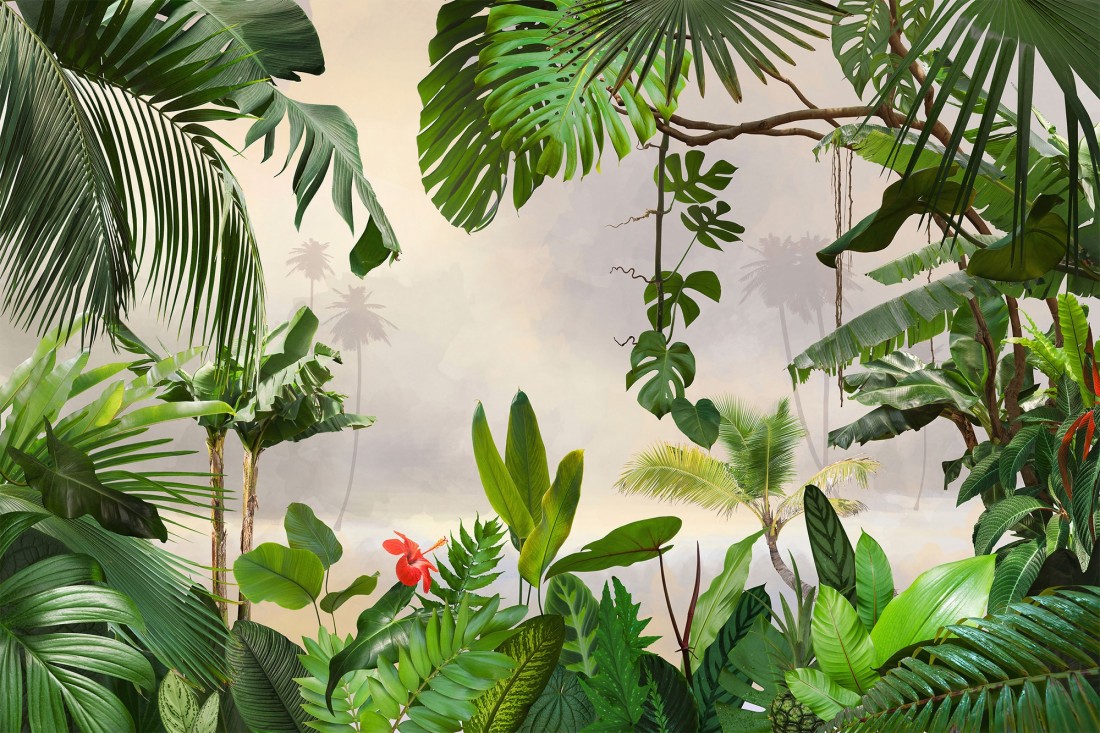 Jungle Landscape Wallpapers