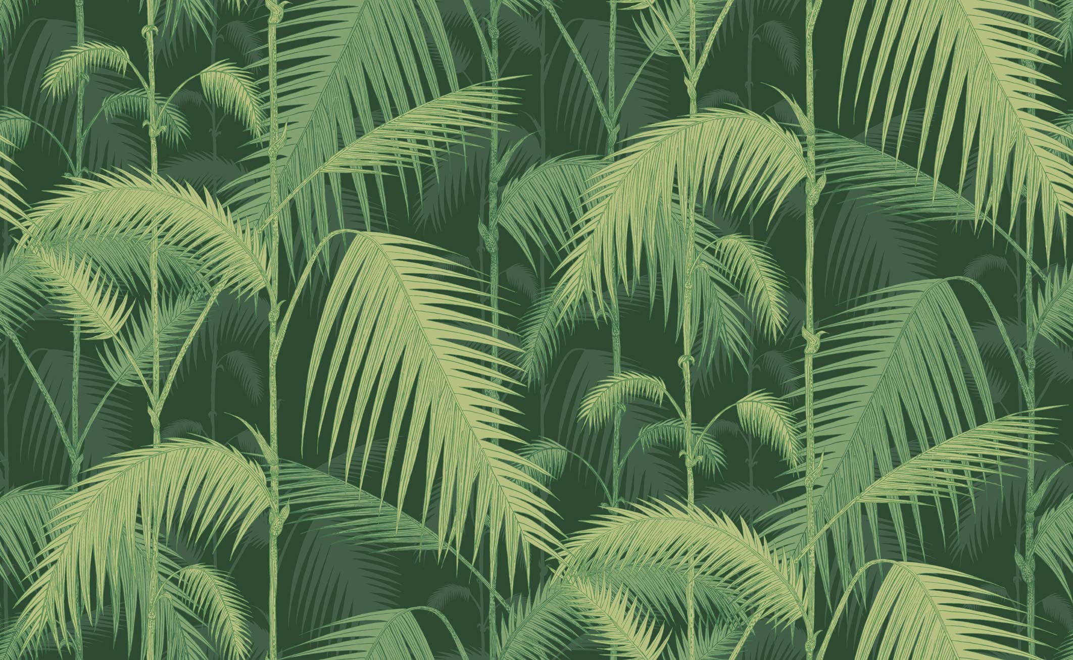 Jungle Theme Wallpapers