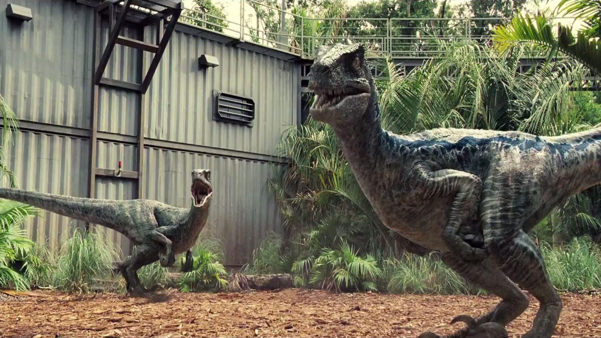 Jurassic World Fallen Kingdom Dinosaurs Wallpapers