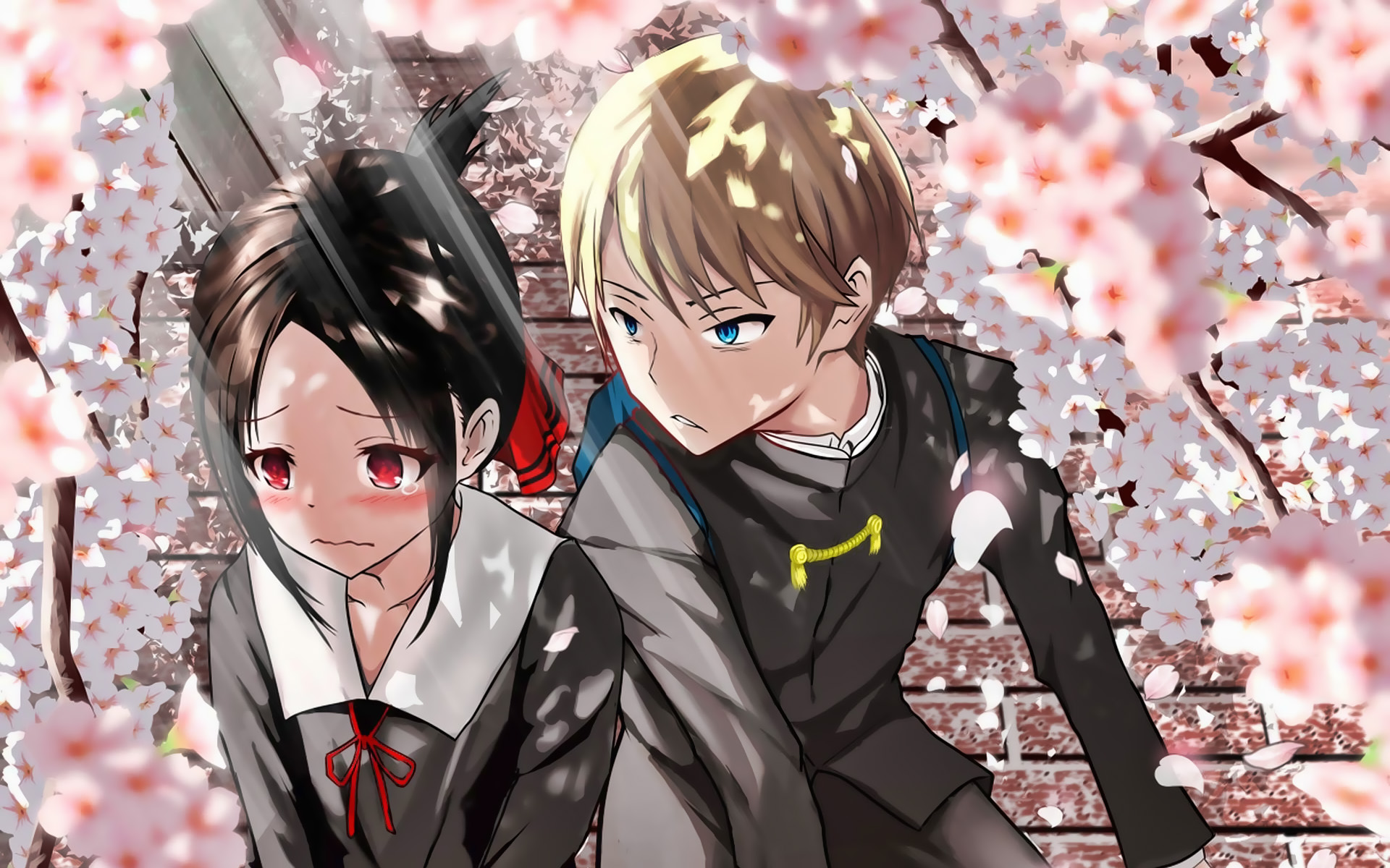 Kaguya-Sama Love Is War Wallpapers