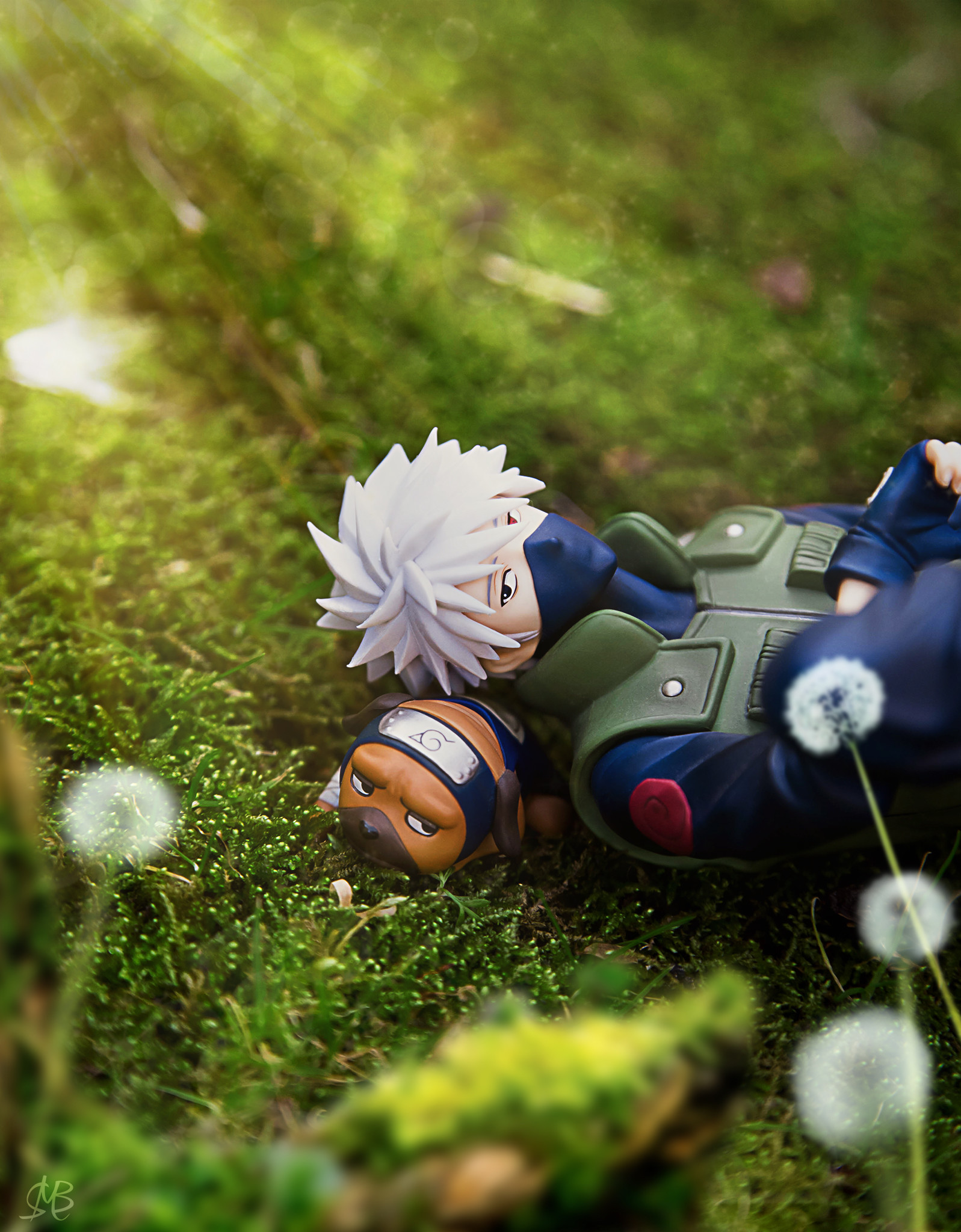 Kakashi Hatake And Pakkun Wallpapers