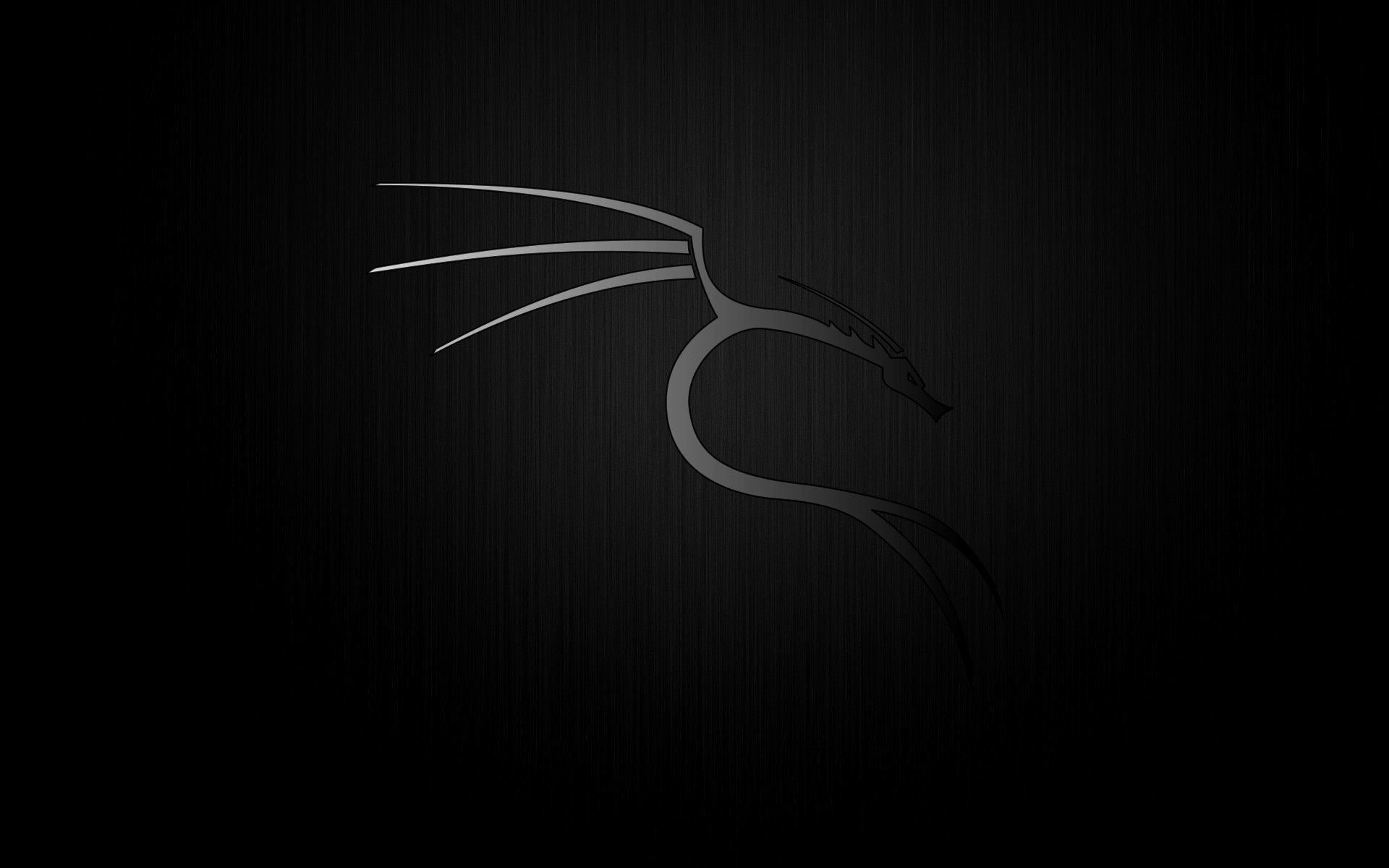 Kali Linux Matrix Wallpapers