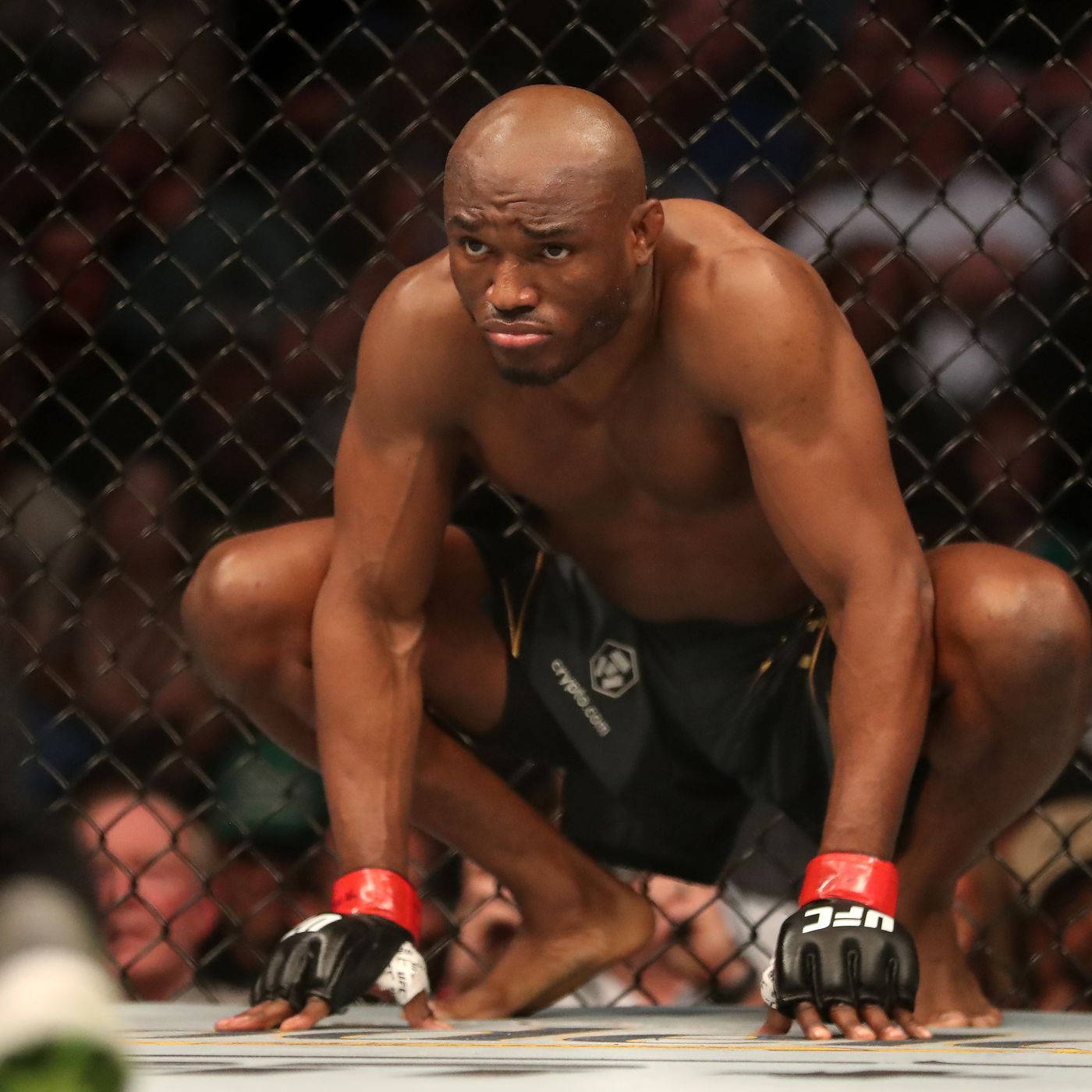 Kamaru Usman Wallpapers